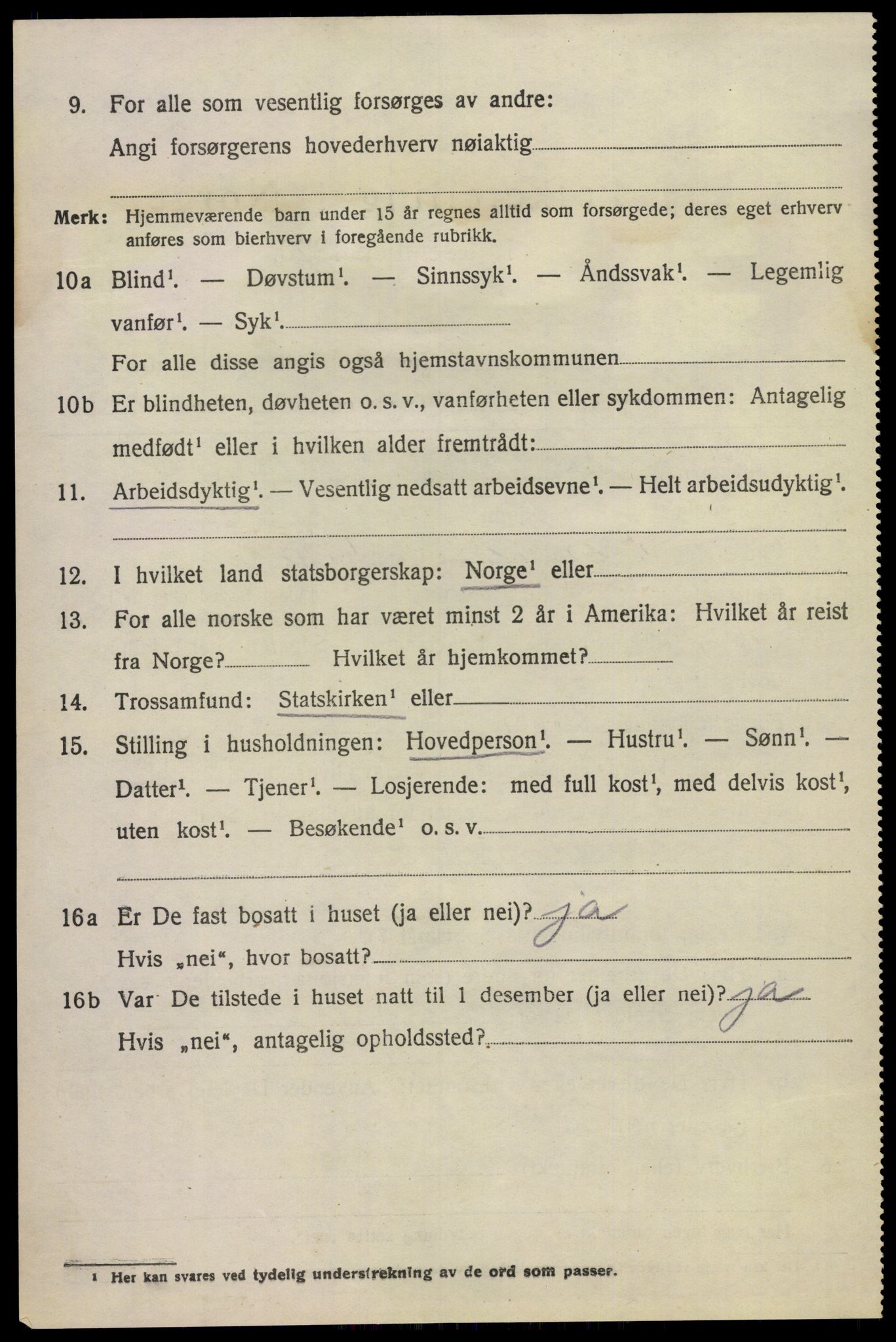 SAKO, 1920 census for Hovin, 1920, p. 1290