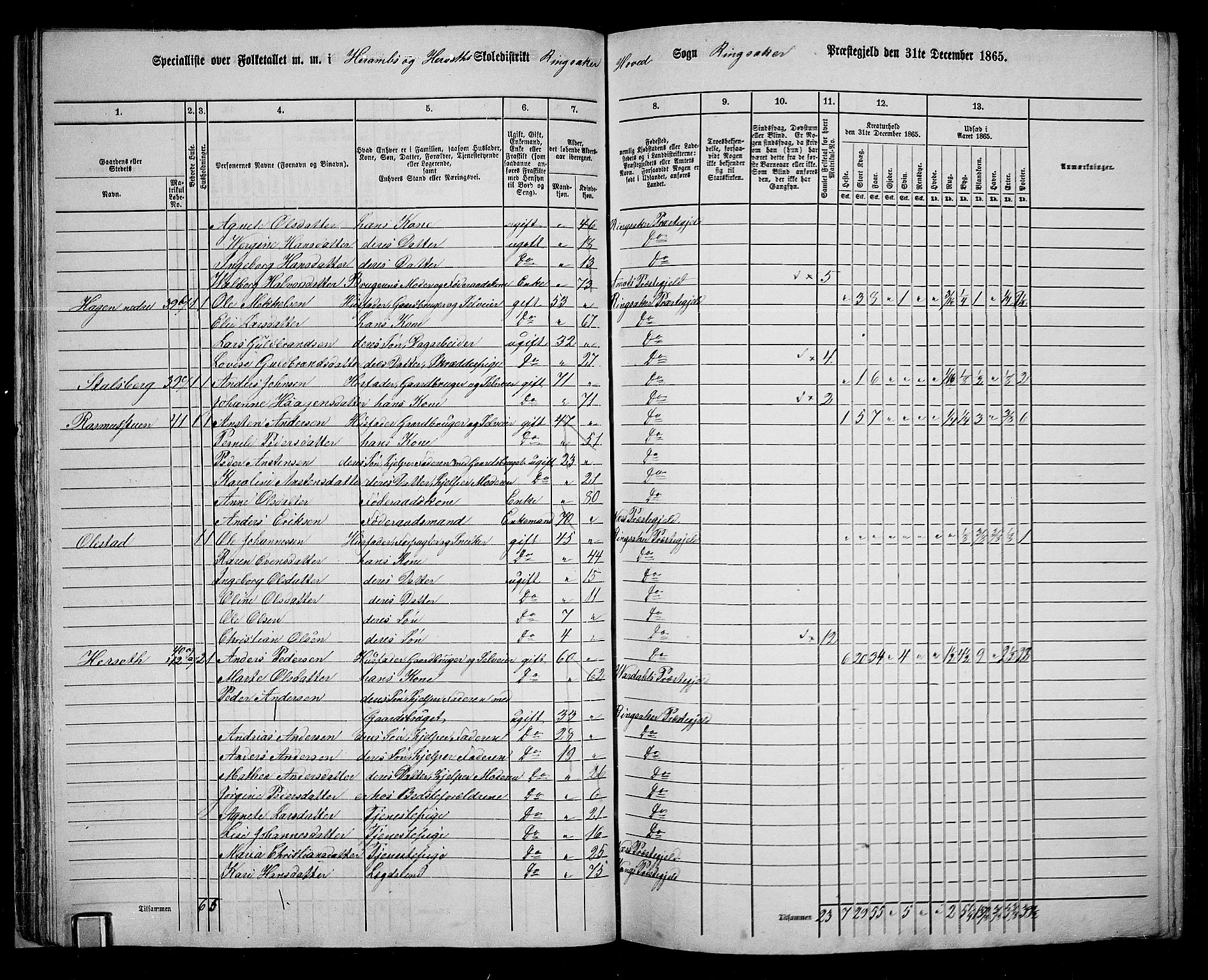 RA, 1865 census for Ringsaker, 1865, p. 62