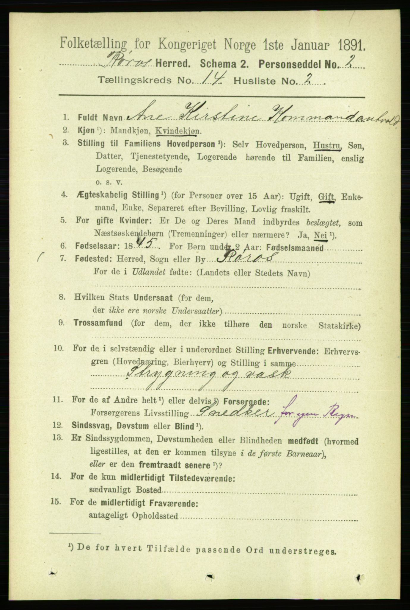 RA, 1891 census for 1640 Røros, 1891, p. 2882