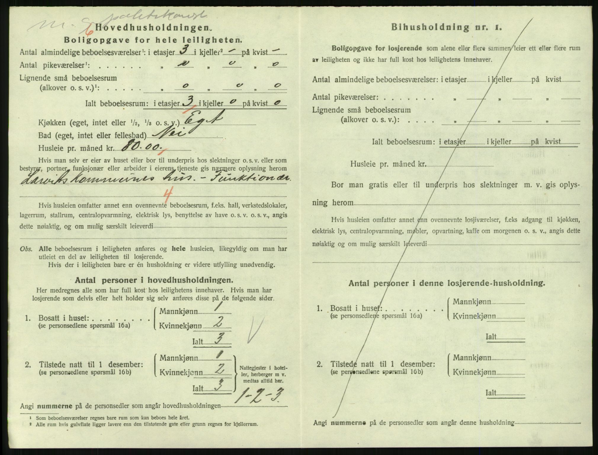 SAKO, 1920 census for Larvik, 1920, p. 5595