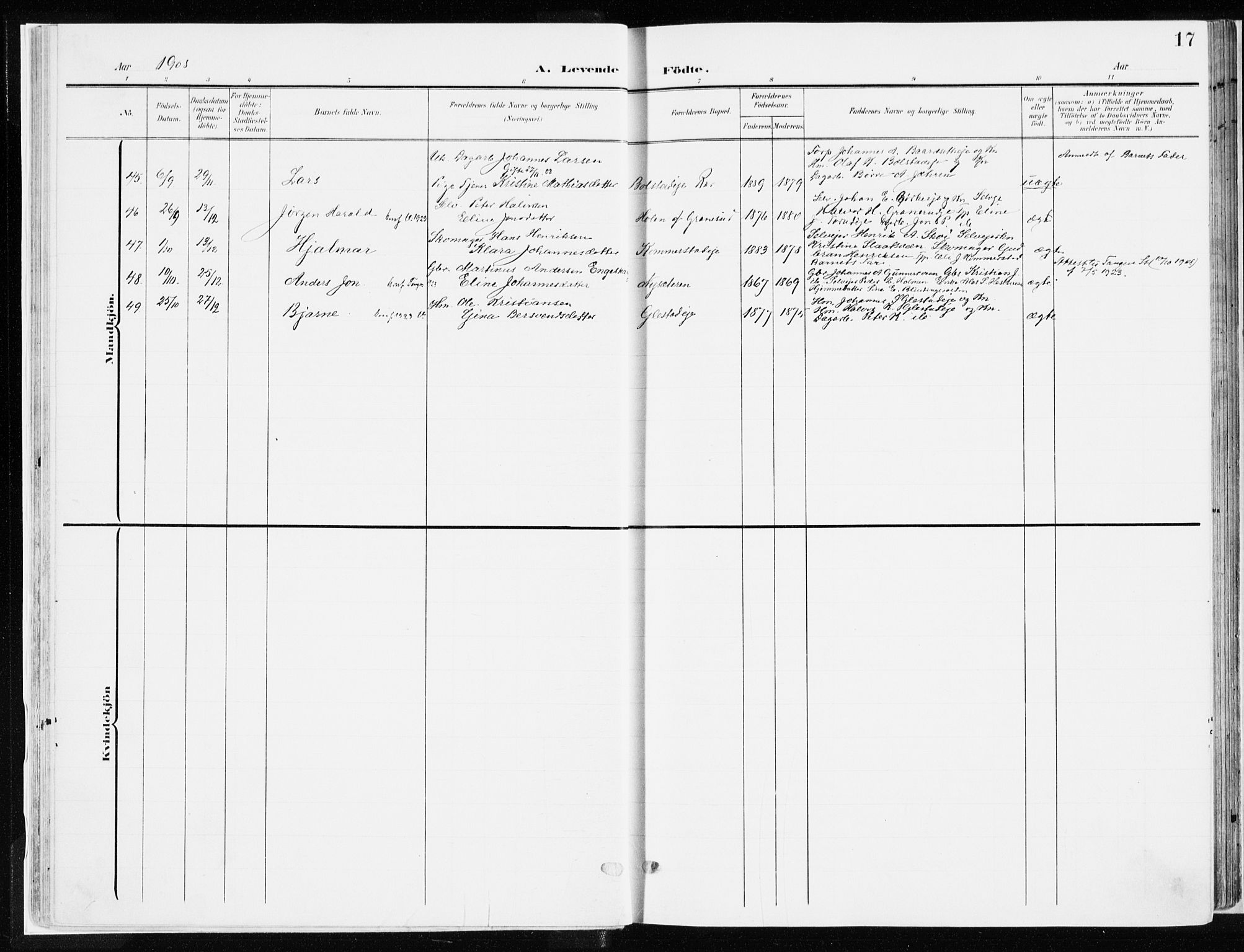 Ringsaker prestekontor, AV/SAH-PREST-014/K/Ka/L0019: Parish register (official) no. 19, 1905-1920, p. 17