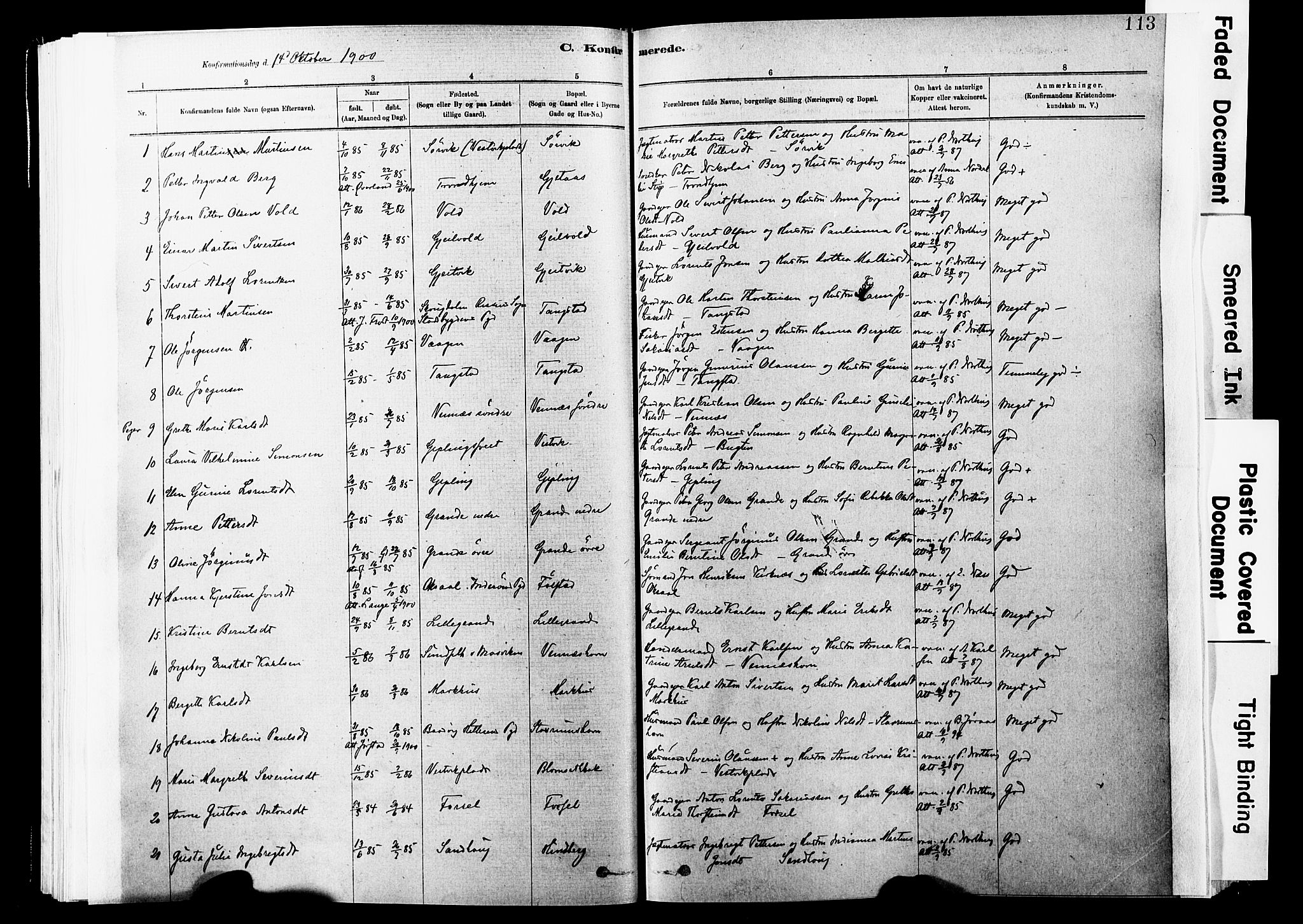 Ministerialprotokoller, klokkerbøker og fødselsregistre - Nord-Trøndelag, SAT/A-1458/744/L0420: Parish register (official) no. 744A04, 1882-1904, p. 113