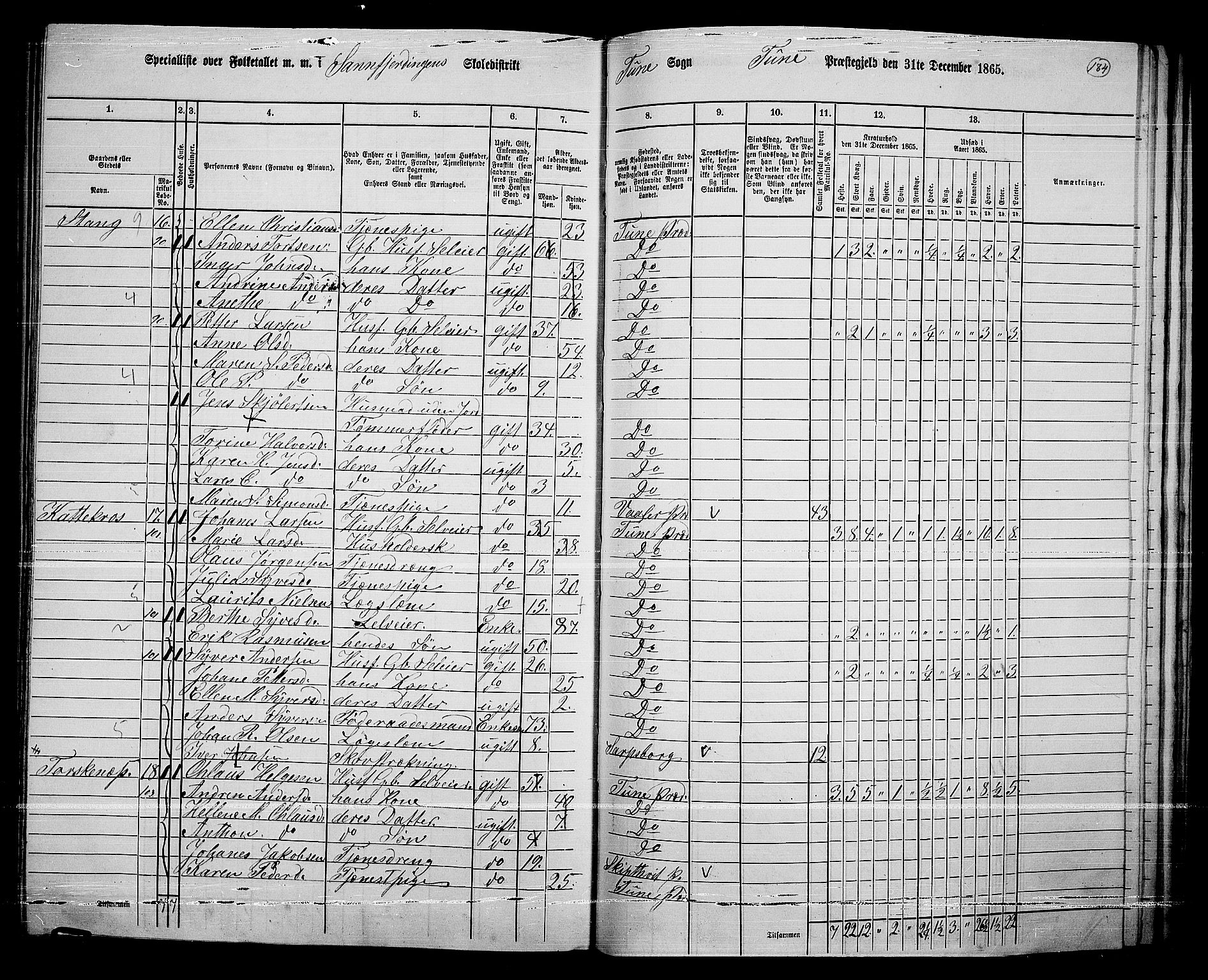 RA, 1865 census for Tune, 1865, p. 258