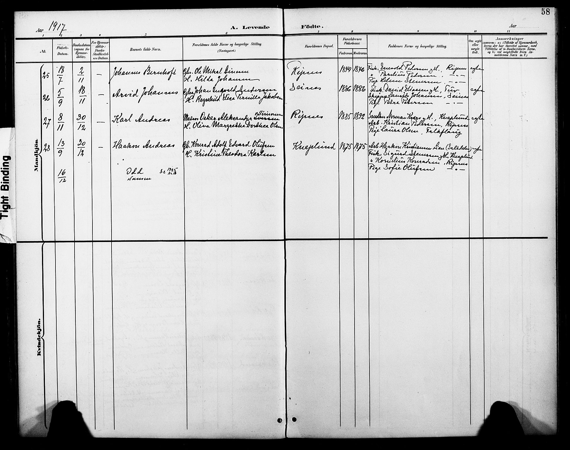 Ministerialprotokoller, klokkerbøker og fødselsregistre - Nordland, AV/SAT-A-1459/804/L0088: Parish register (copy) no. 804C01, 1901-1917, p. 58