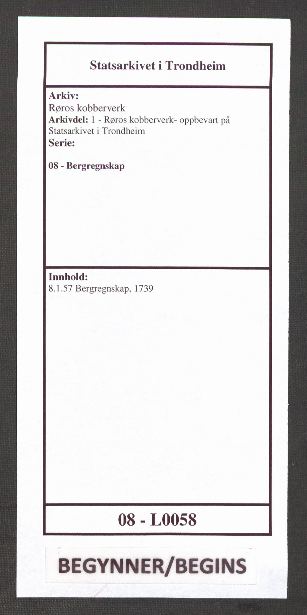 Røros kobberverk, SAT/PA-0211/1/08/L0058: 8.1.57 Bergregnskap, 1739
