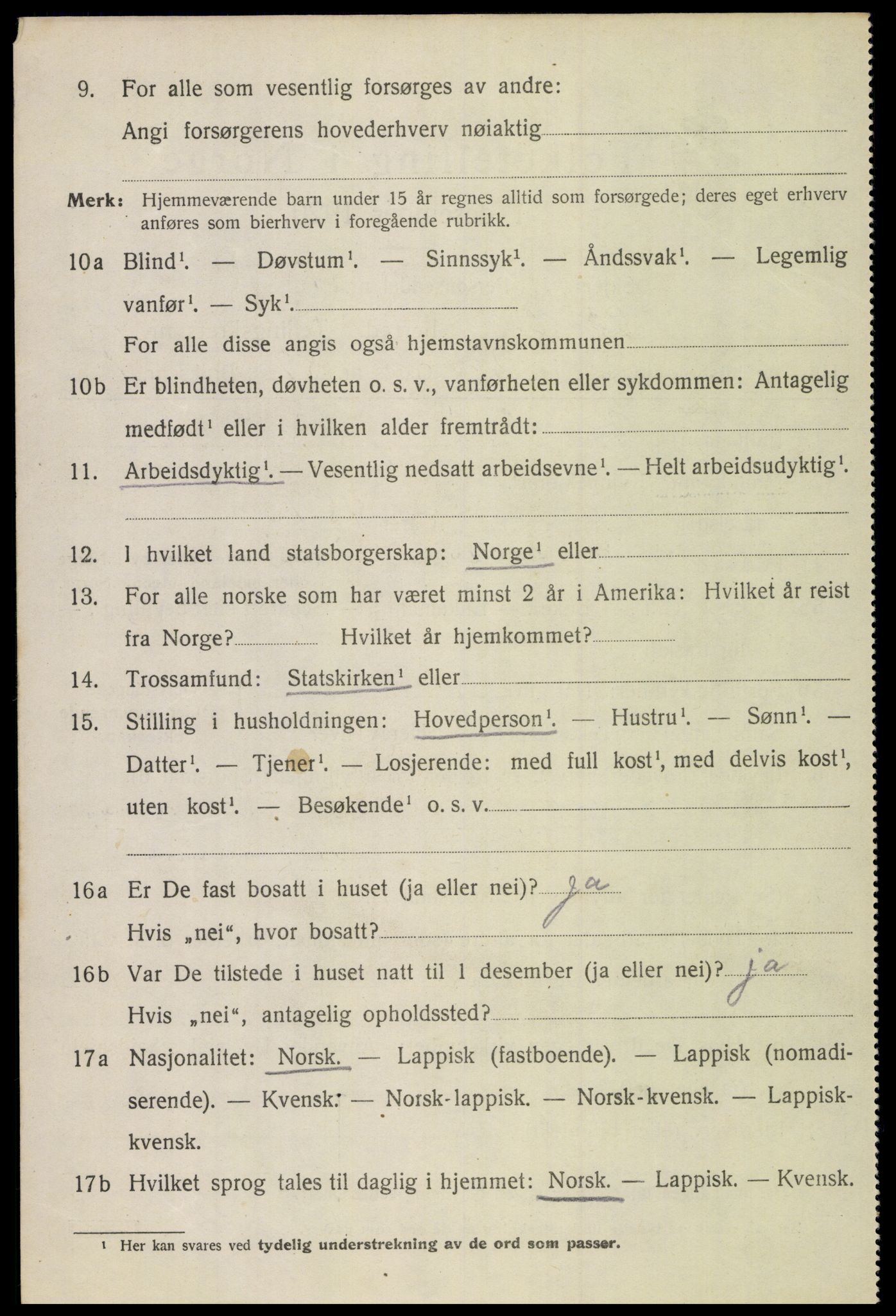 SAT, 1920 census for Bodin, 1920, p. 13031