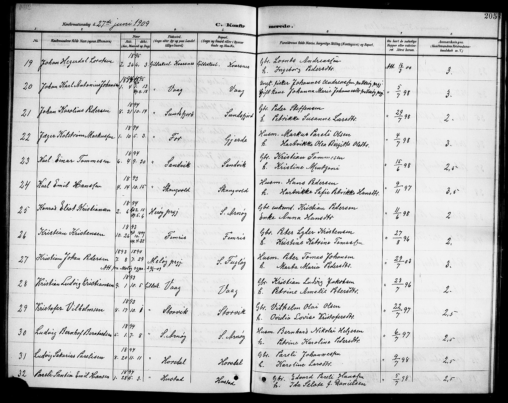 Ministerialprotokoller, klokkerbøker og fødselsregistre - Nordland, AV/SAT-A-1459/805/L0109: Parish register (copy) no. 805C05, 1900-1911, p. 205