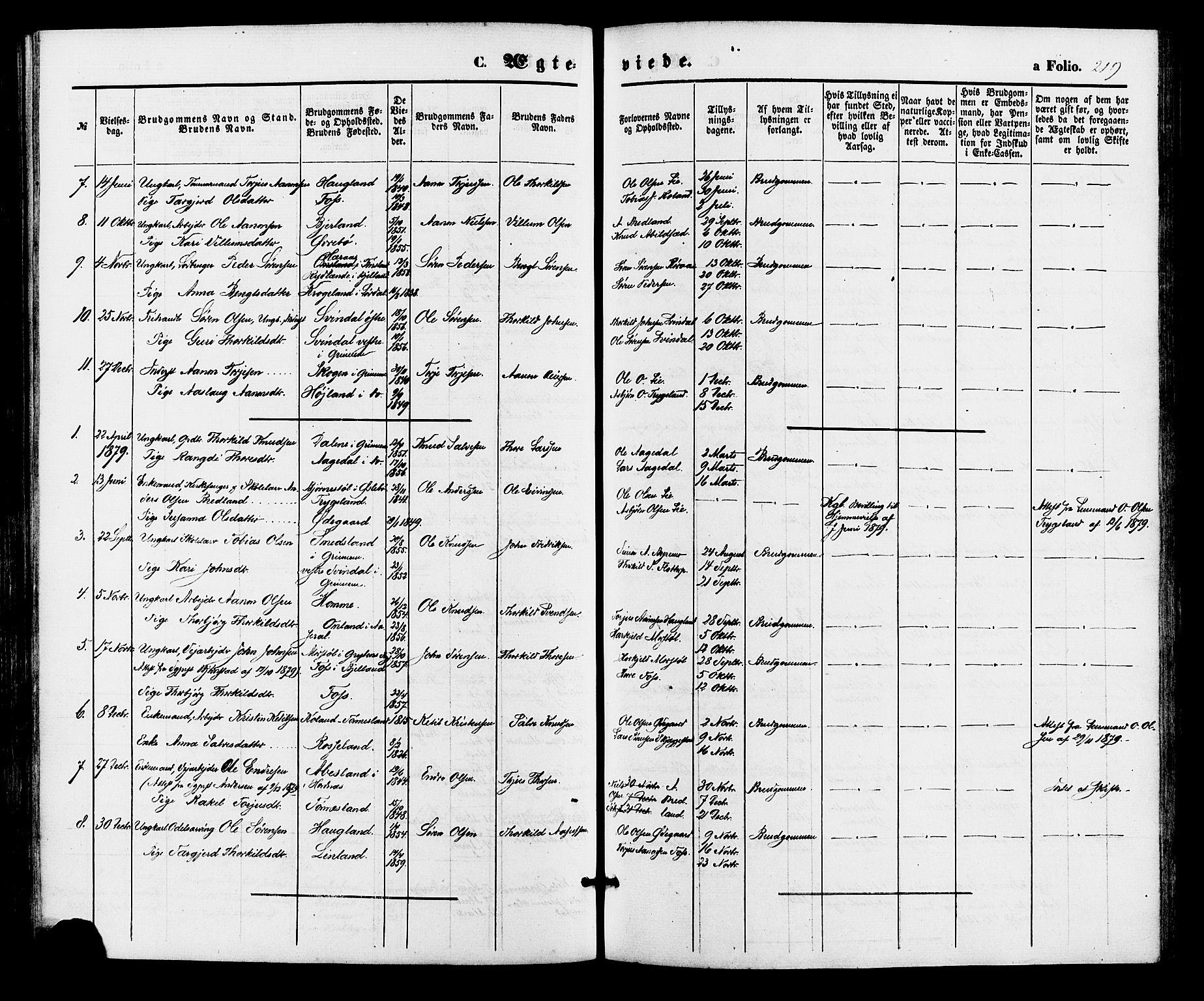 Bjelland sokneprestkontor, SAK/1111-0005/F/Fa/Faa/L0003: Parish register (official) no. A 3, 1867-1887, p. 219