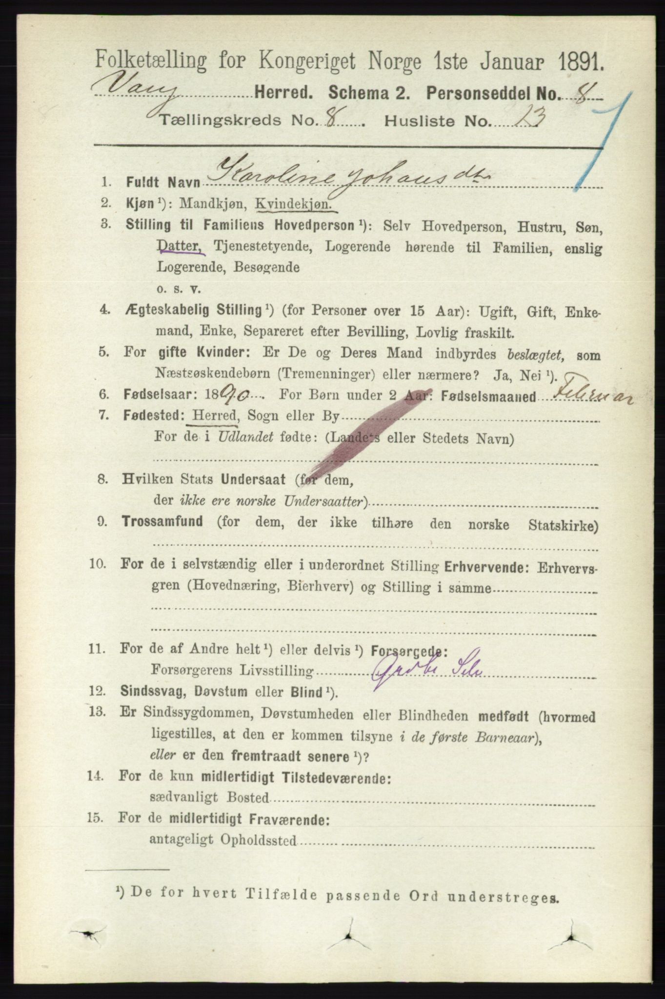 RA, 1891 census for 0414 Vang, 1891, p. 5680