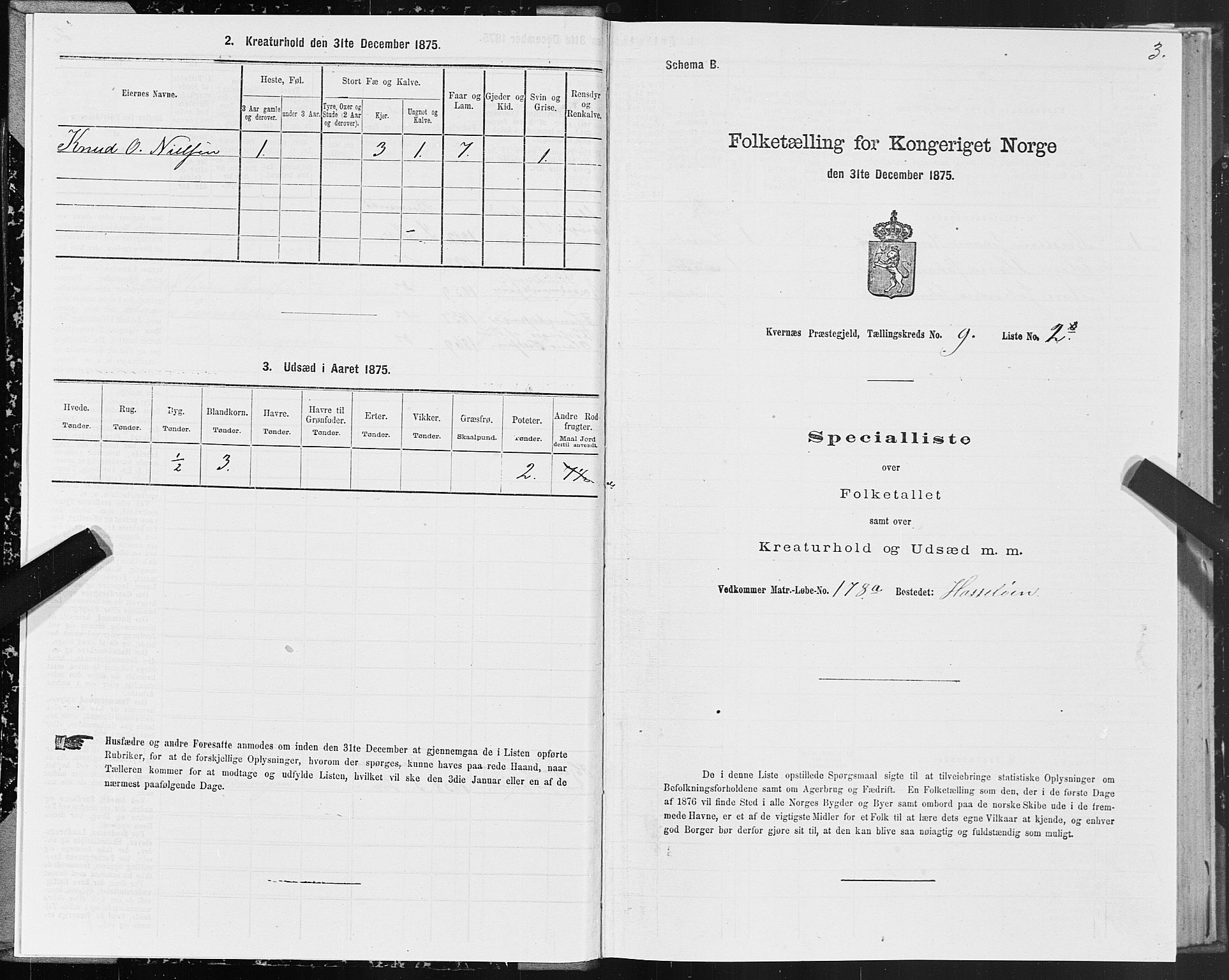 SAT, 1875 census for 1553P Kvernes, 1875, p. 5003