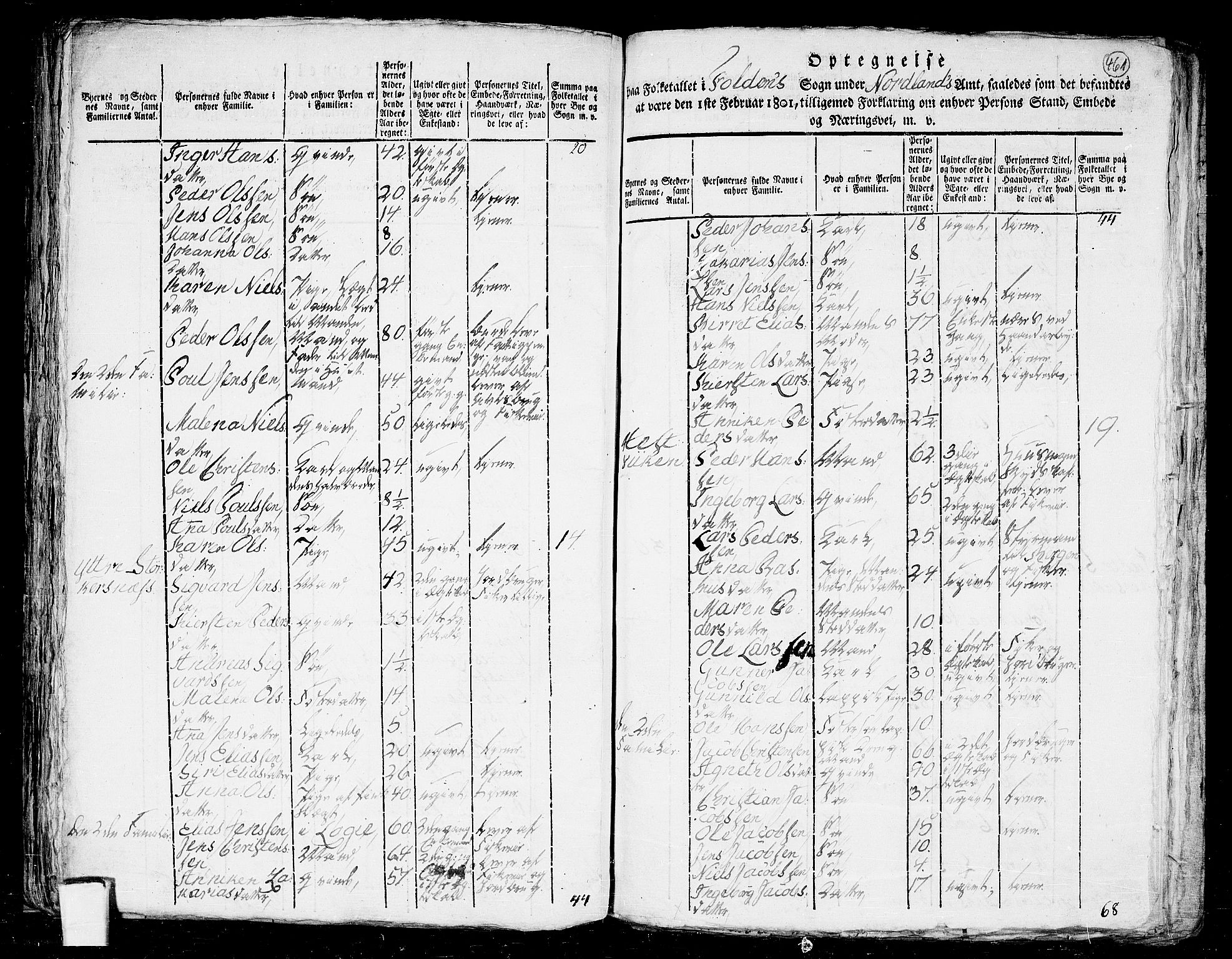 RA, 1801 census for 1845P Folda, 1801, p. 460b-461a