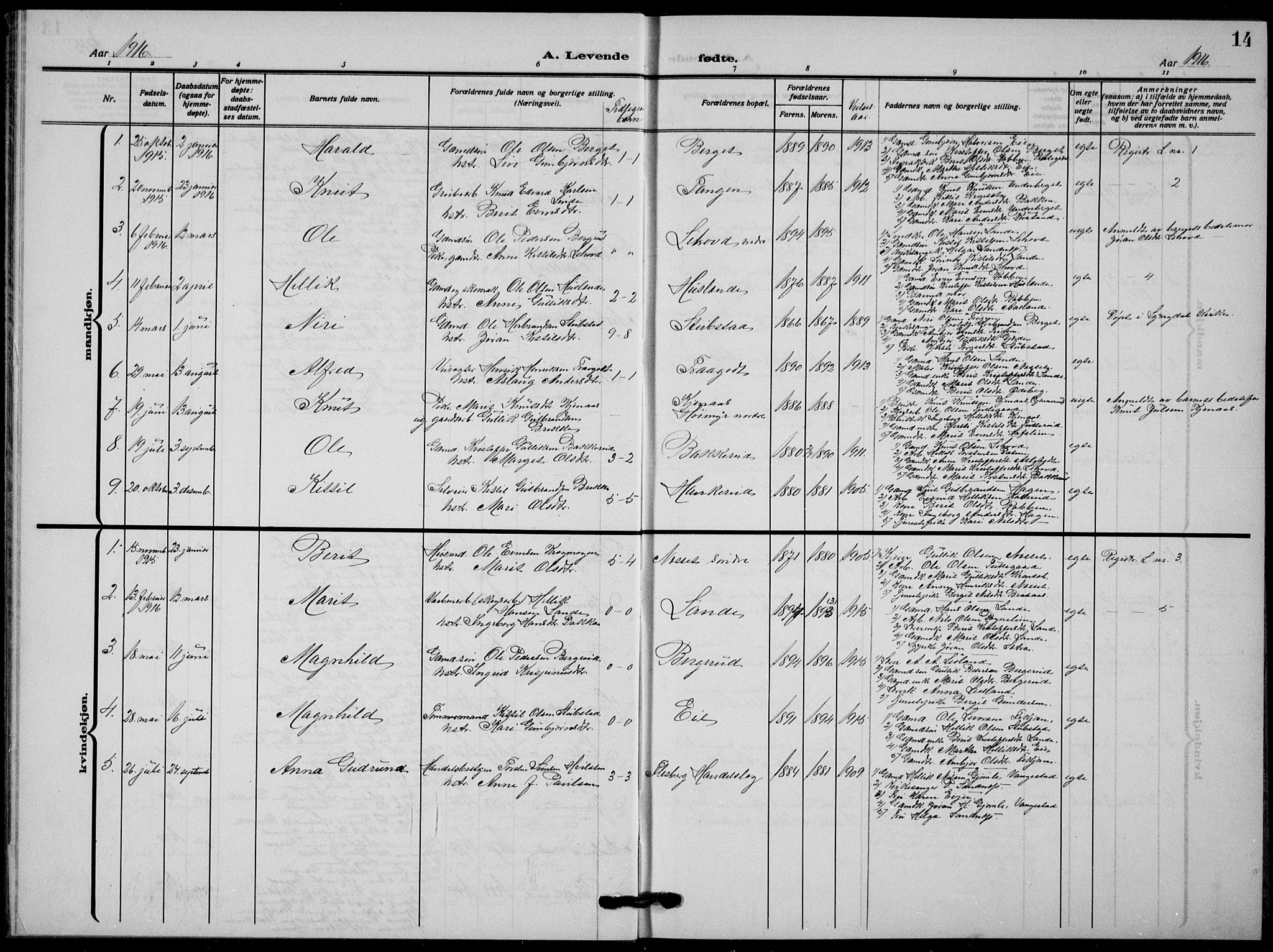 Flesberg kirkebøker, AV/SAKO-A-18/G/Ga/L0006: Parish register (copy) no. I 6, 1909-1924, p. 14