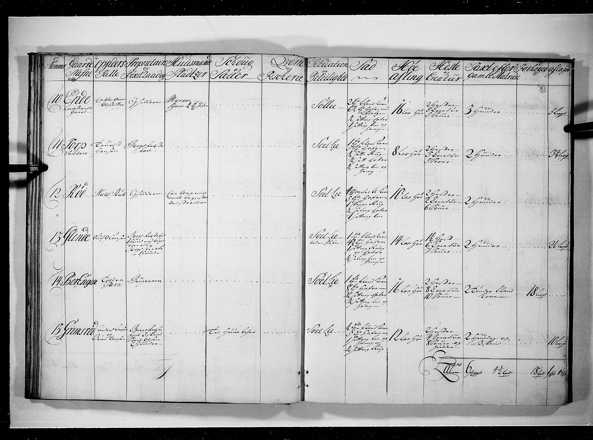 Rentekammeret inntil 1814, Realistisk ordnet avdeling, AV/RA-EA-4070/N/Nb/Nbf/L0097: Idd og Marker eksaminasjonsprotokoll, 1723, p. 30b-31a