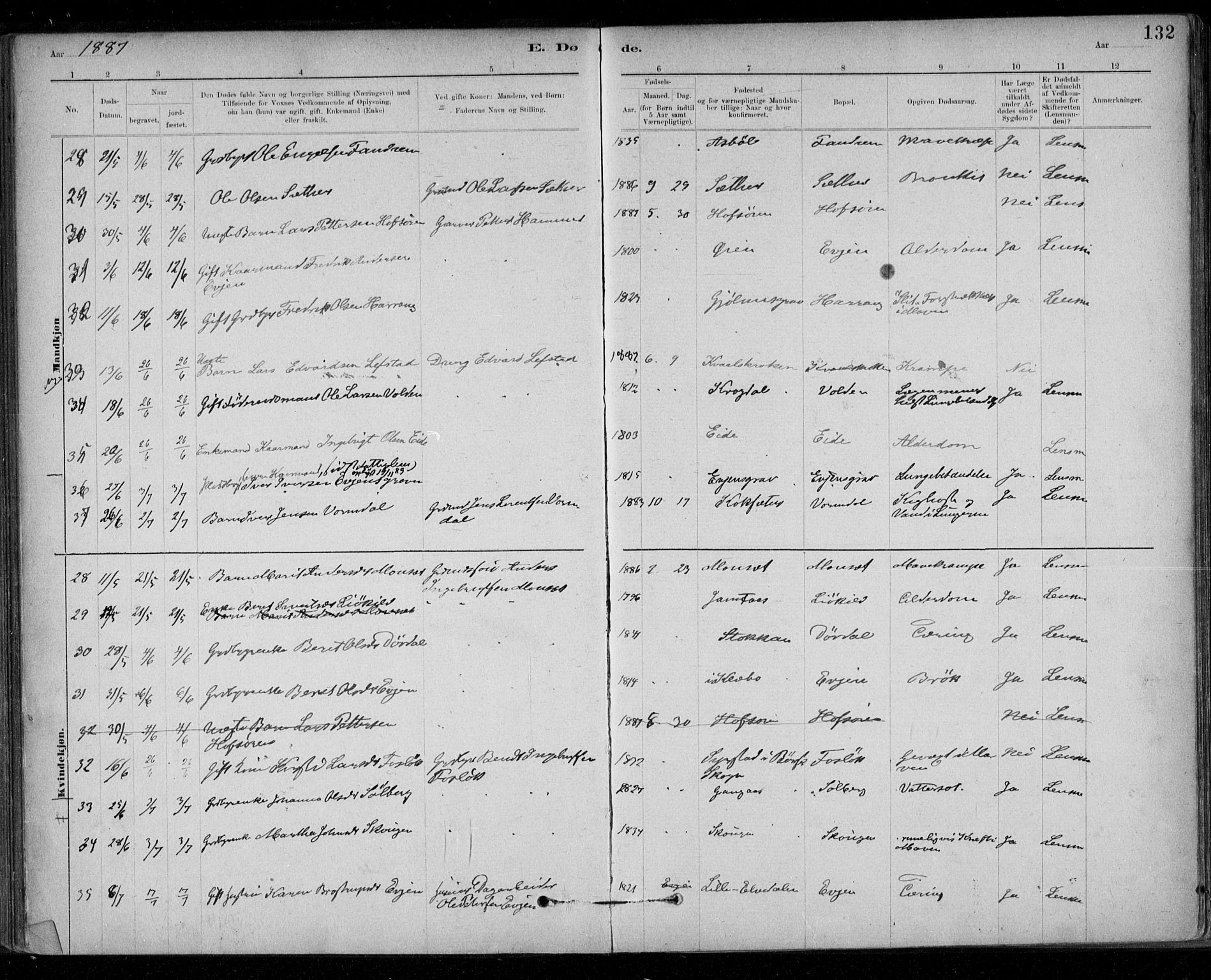 Ministerialprotokoller, klokkerbøker og fødselsregistre - Sør-Trøndelag, AV/SAT-A-1456/668/L0810: Parish register (official) no. 668A10, 1881-1894, p. 132