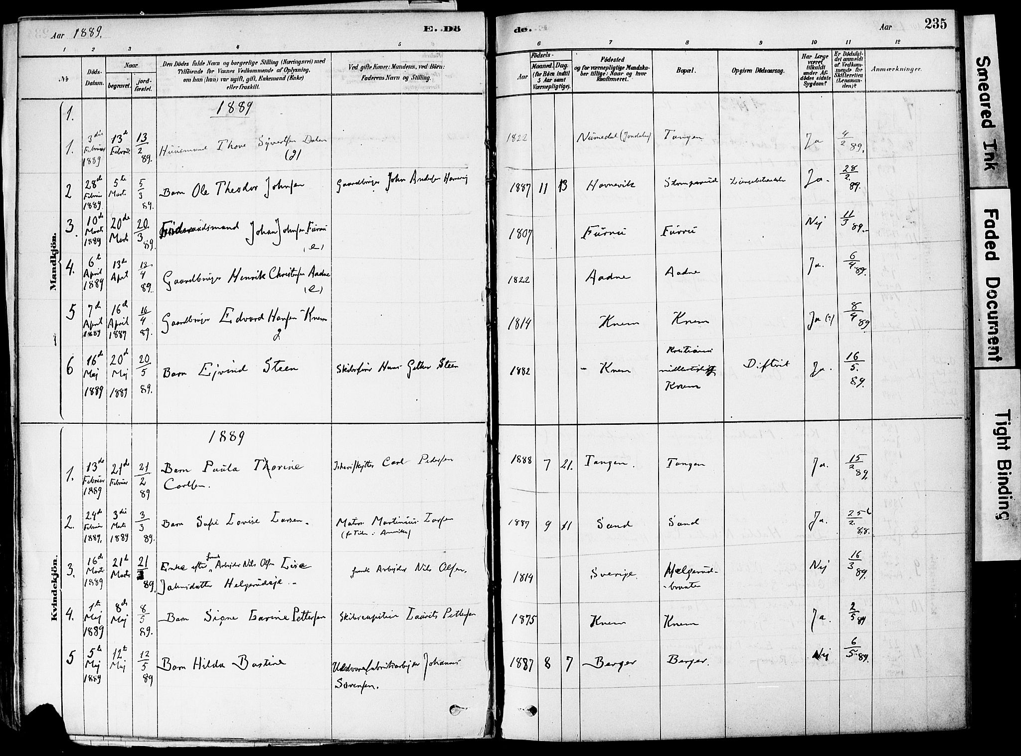 Strømm kirkebøker, AV/SAKO-A-322/F/Fa/L0004: Parish register (official) no. I 4, 1878-1899, p. 235