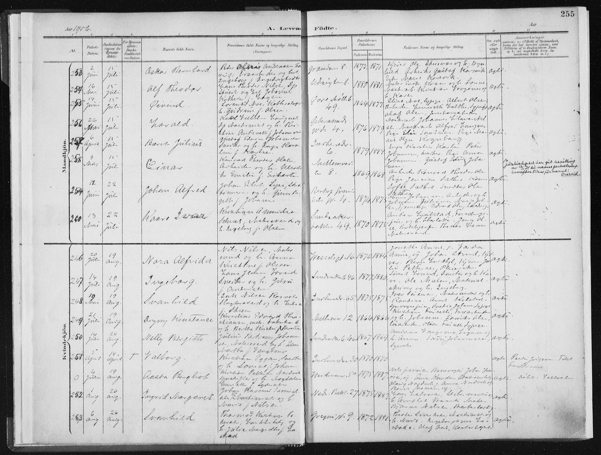 Ministerialprotokoller, klokkerbøker og fødselsregistre - Sør-Trøndelag, AV/SAT-A-1456/604/L0200: Parish register (official) no. 604A20II, 1901-1908, p. 255