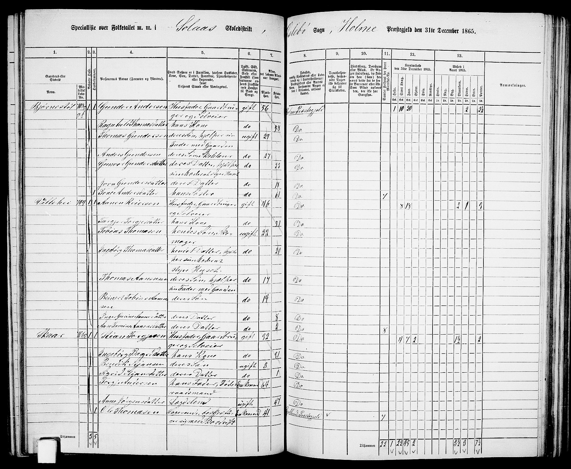 RA, 1865 census for Holum, 1865, p. 122