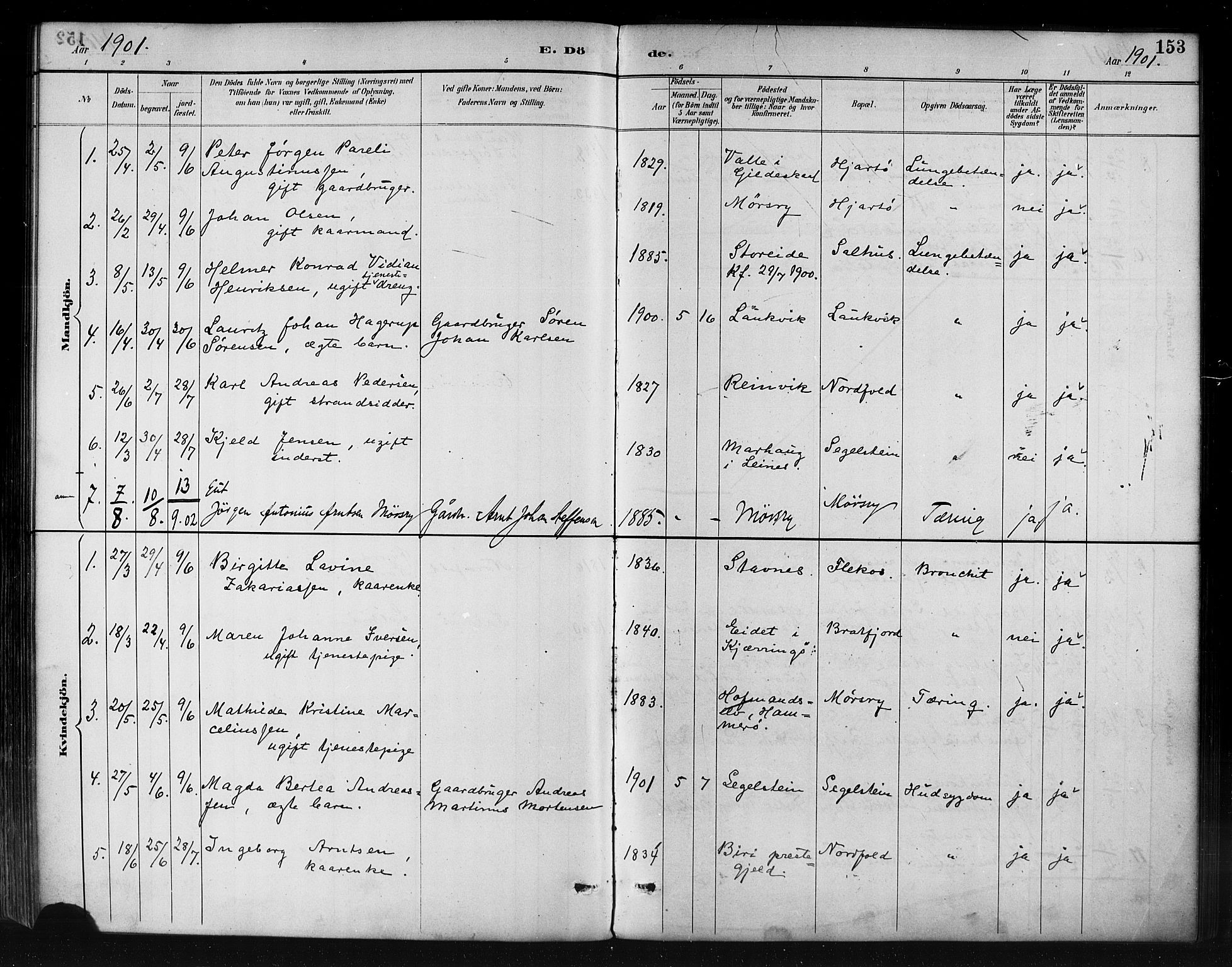 Ministerialprotokoller, klokkerbøker og fødselsregistre - Nordland, AV/SAT-A-1459/858/L0831: Parish register (official) no. 858A01, 1884-1902, p. 153