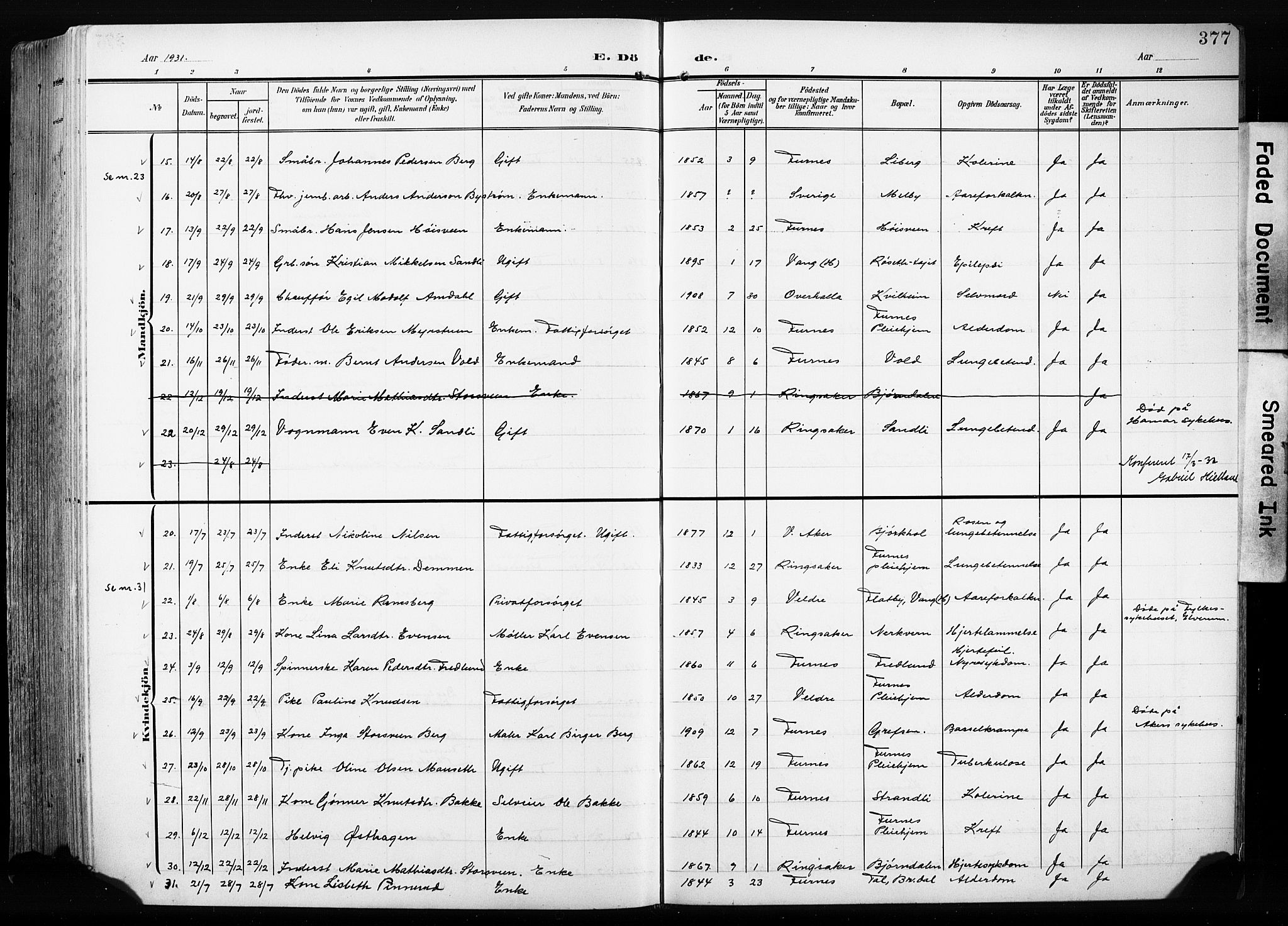 Furnes prestekontor, AV/SAH-PREST-012/L/La/L0001: Parish register (copy) no. 1, 1904-1933, p. 377