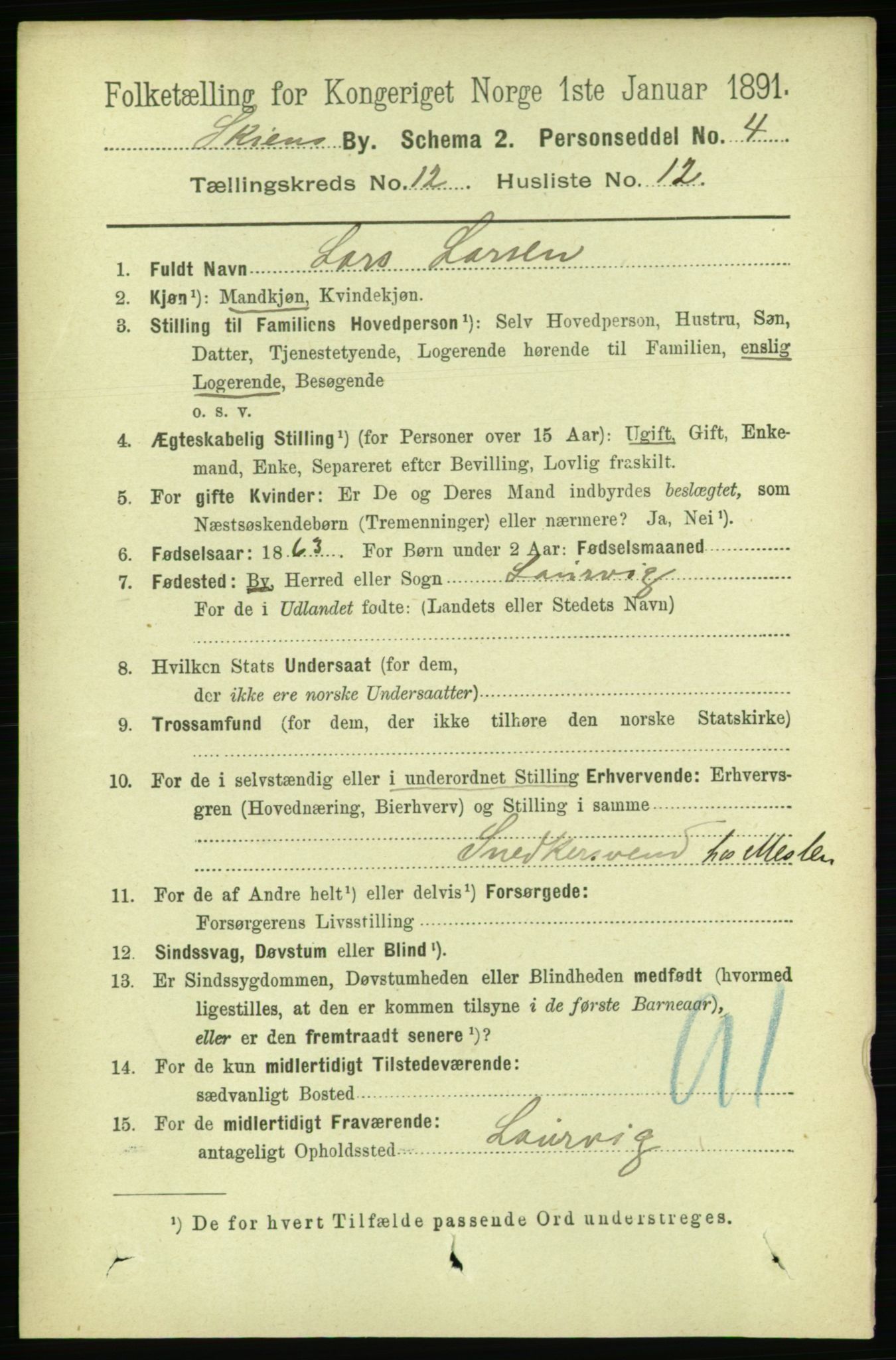 RA, 1891 census for 0806 Skien, 1891, p. 4079