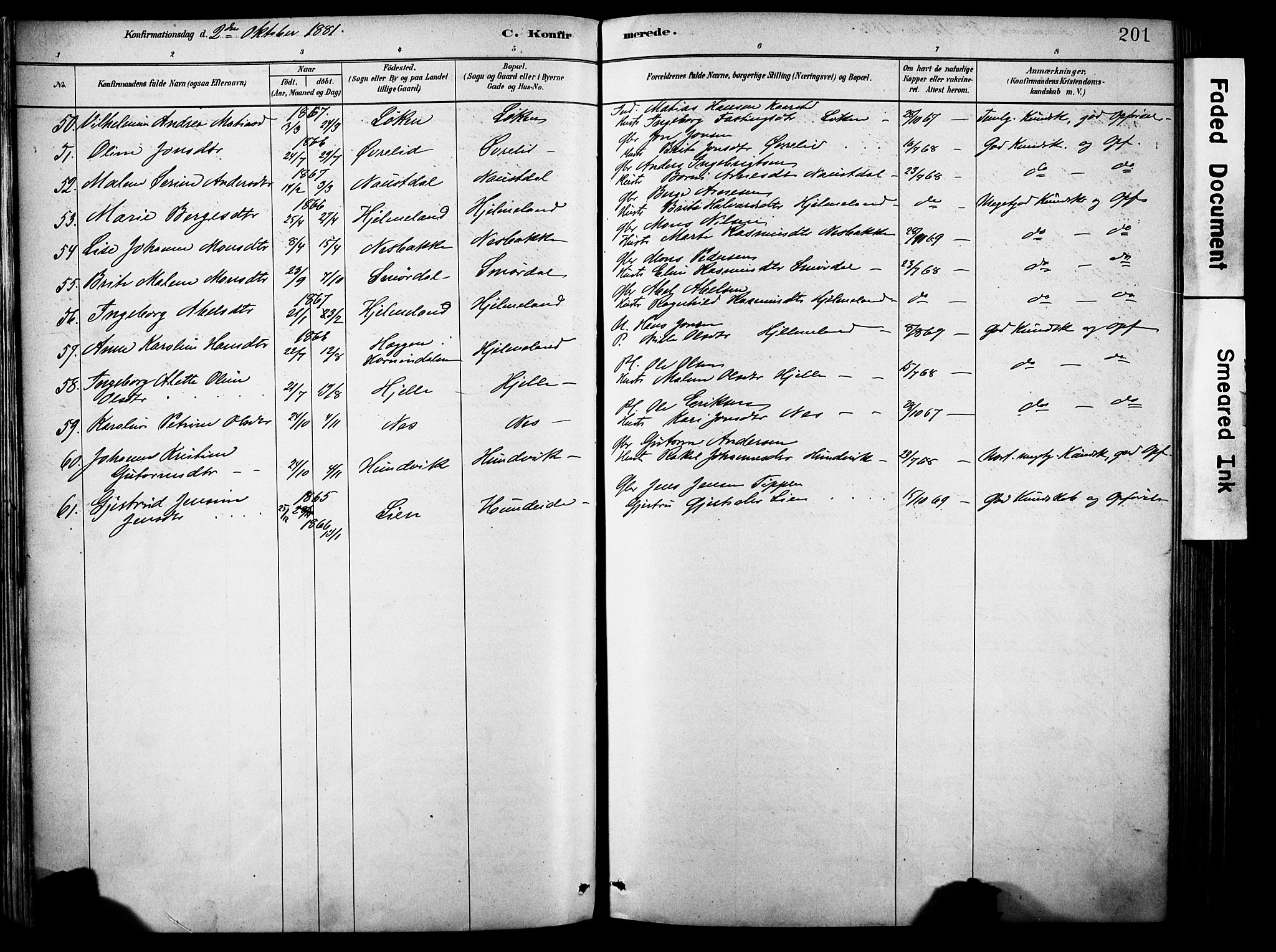 Eid sokneprestembete, AV/SAB-A-82301/H/Haa/Haab/L0001: Parish register (official) no. B 1, 1879-1906, p. 201