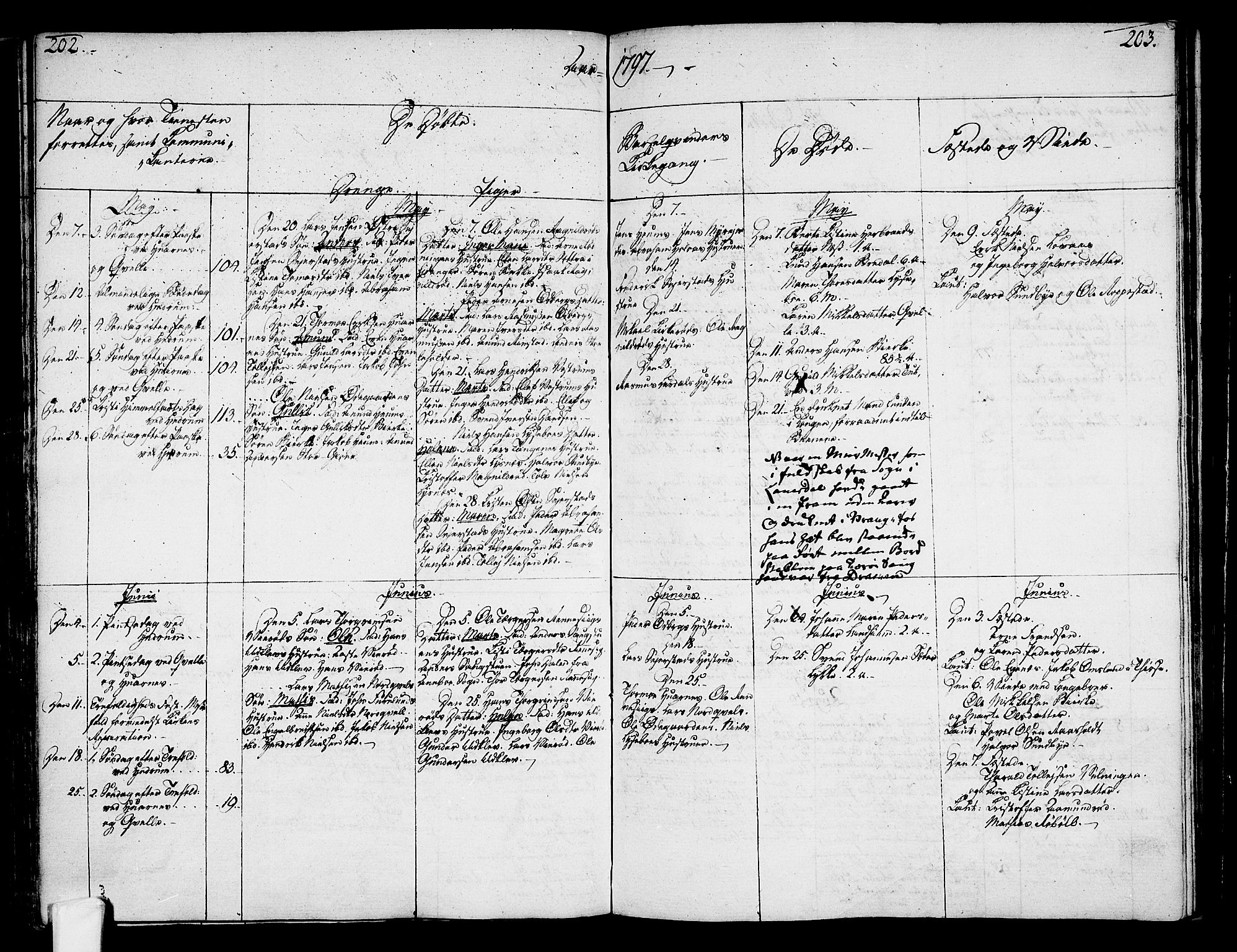 Hedrum kirkebøker, AV/SAKO-A-344/F/Fa/L0002: Parish register (official) no. I 2, 1785-1807, p. 202-203