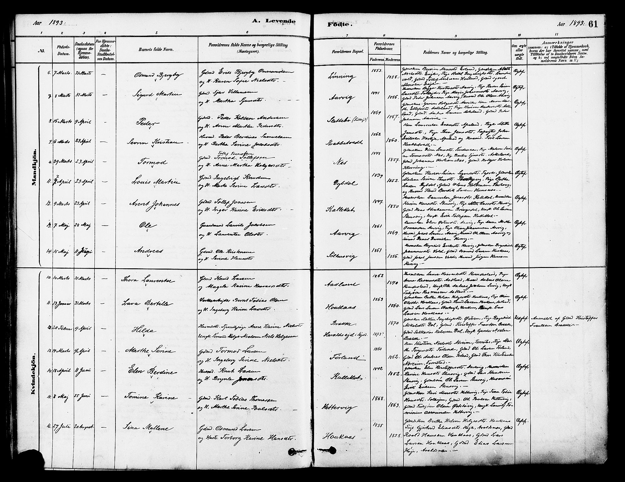 Tysvær sokneprestkontor, AV/SAST-A -101864/H/Ha/Haa/L0006: Parish register (official) no. A 6, 1878-1896, p. 61