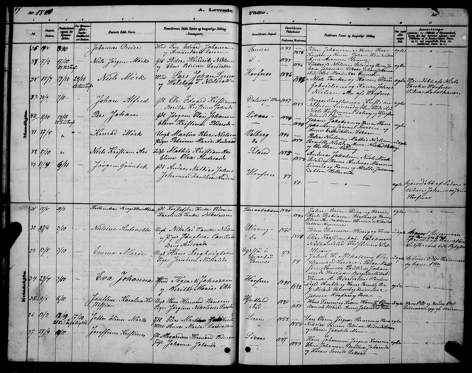 Ministerialprotokoller, klokkerbøker og fødselsregistre - Nordland, AV/SAT-A-1459/831/L0477: Parish register (copy) no. 831C04, 1878-1897, p. 17