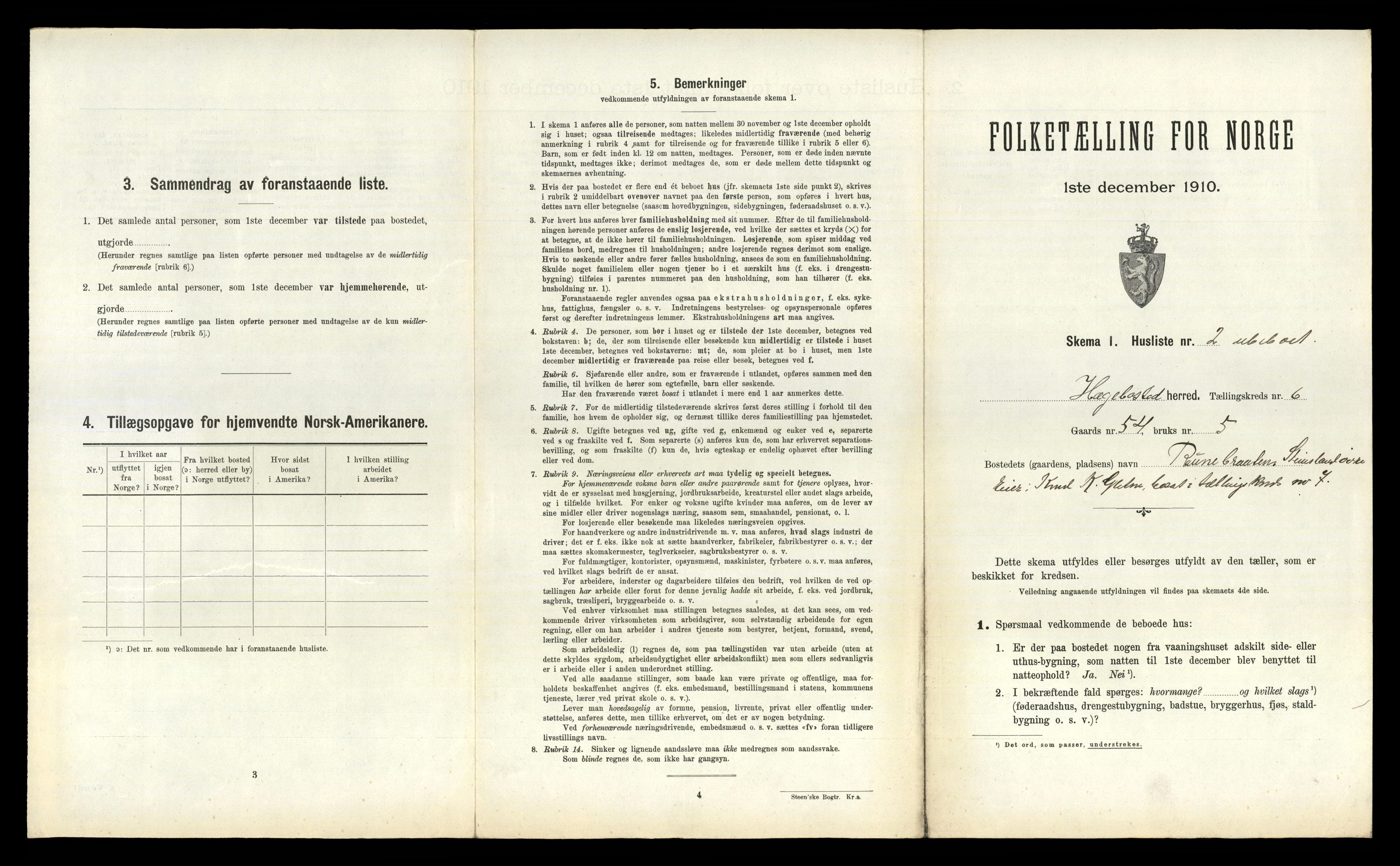 RA, 1910 census for Hægebostad, 1910, p. 473