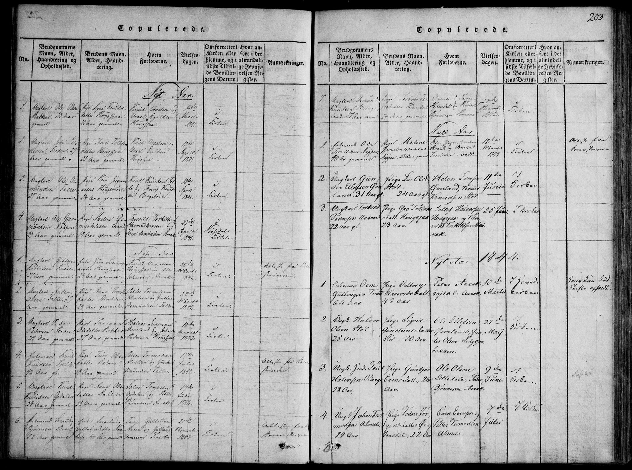 Nissedal kirkebøker, SAKO/A-288/F/Fb/L0001: Parish register (official) no. II 1, 1814-1845, p. 203