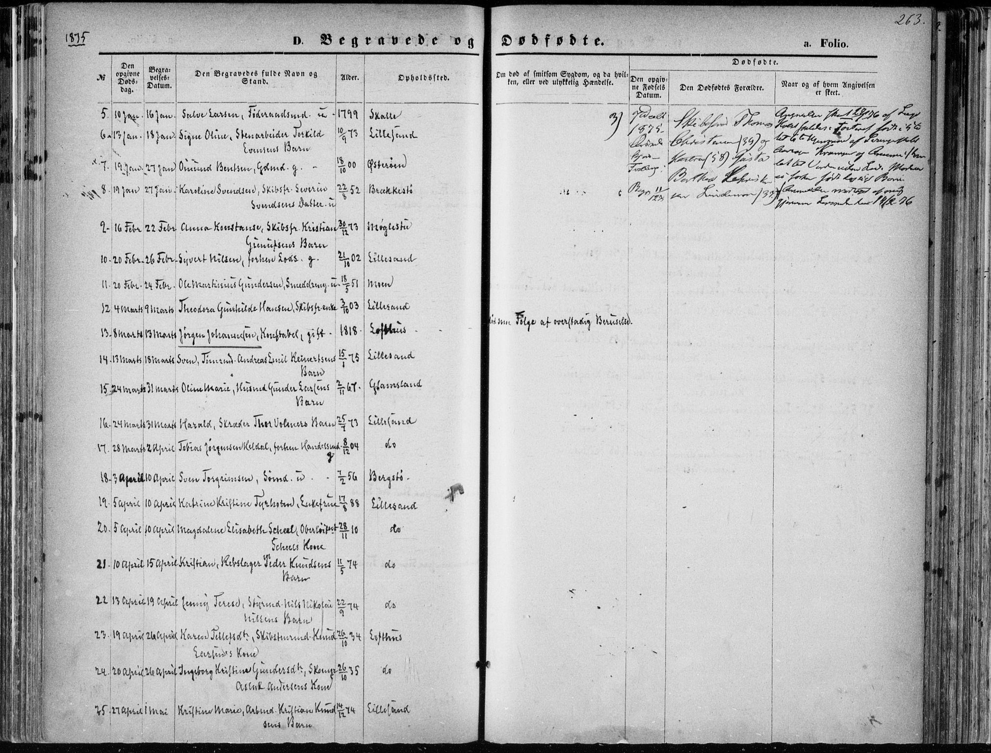 Vestre Moland sokneprestkontor, AV/SAK-1111-0046/F/Fa/Fab/L0008: Parish register (official) no. A 8, 1873-1883, p. 263