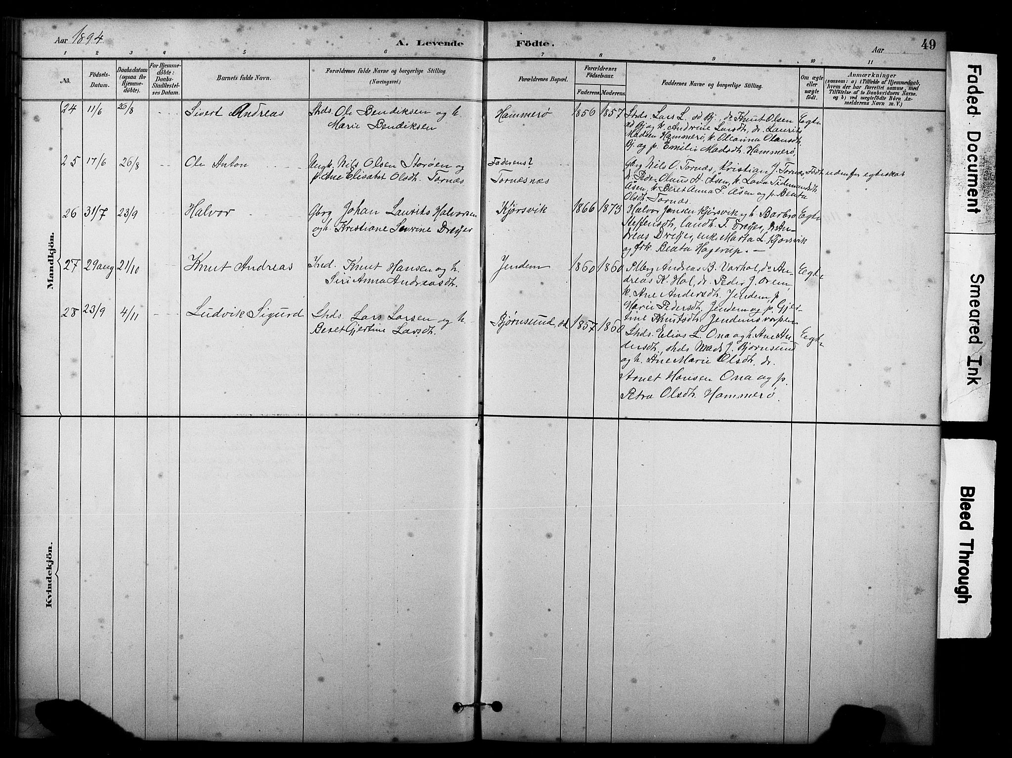 Ministerialprotokoller, klokkerbøker og fødselsregistre - Møre og Romsdal, AV/SAT-A-1454/565/L0755: Parish register (copy) no. 565C04, 1883-1903, p. 49