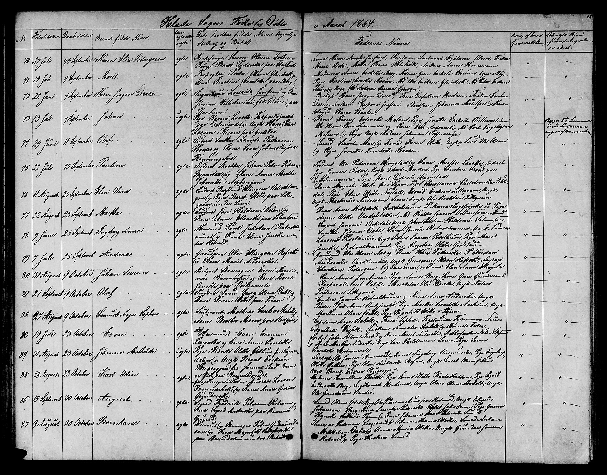 Ministerialprotokoller, klokkerbøker og fødselsregistre - Sør-Trøndelag, SAT/A-1456/606/L0311: Parish register (copy) no. 606C07, 1860-1877, p. 43