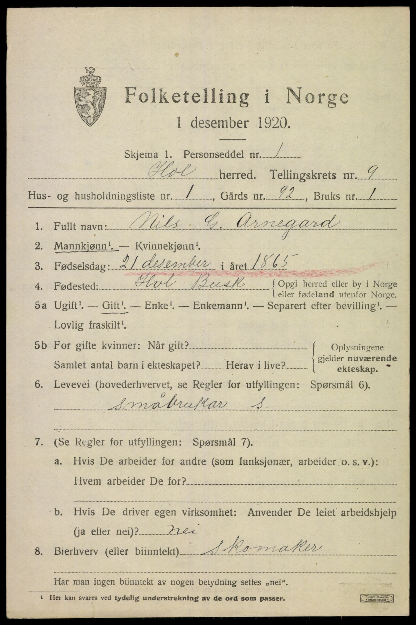 SAKO, 1920 census for Hol (Buskerud), 1920, p. 4929