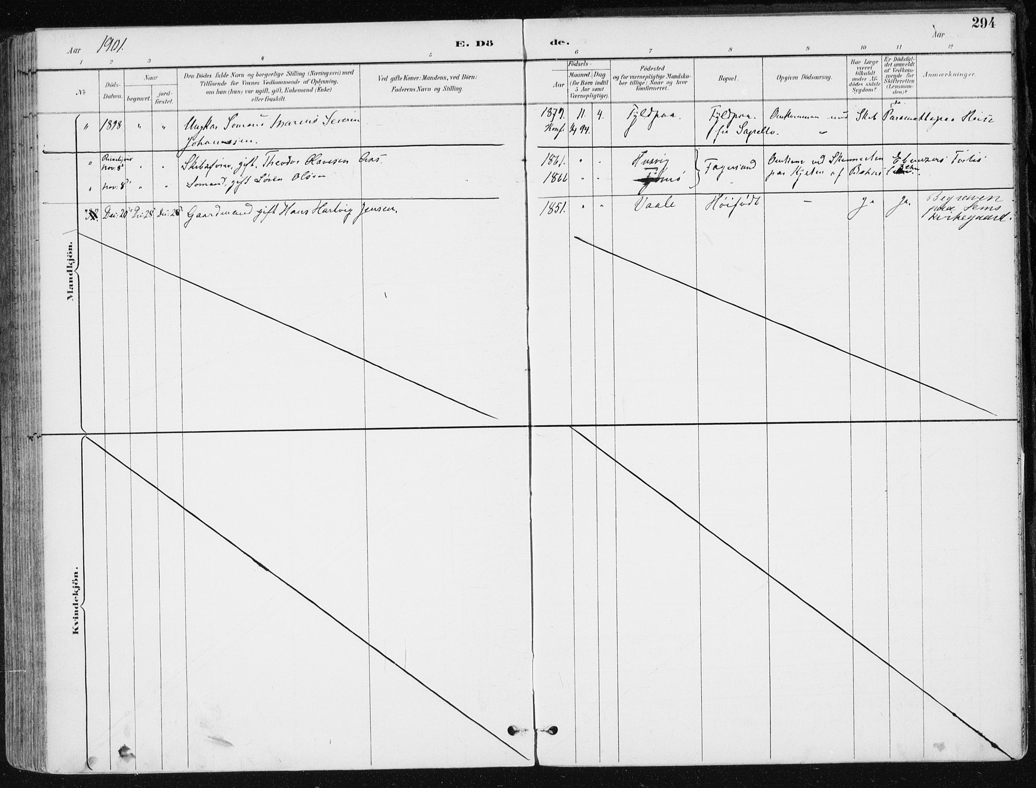 Sem kirkebøker, AV/SAKO-A-5/F/Fb/L0005: Parish register (official) no. II 5, 1892-1904, p. 294