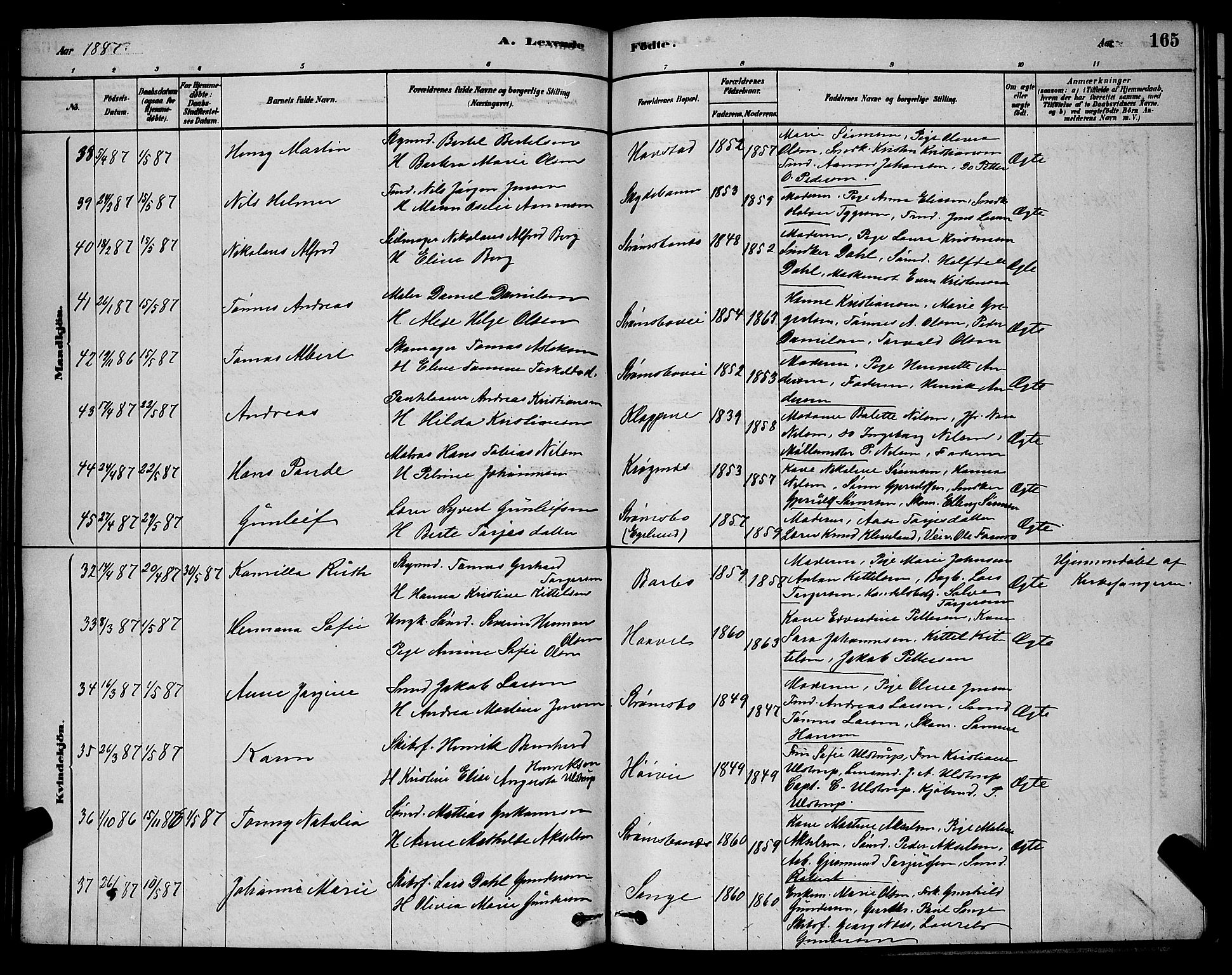 Barbu sokneprestkontor, AV/SAK-1111-0003/F/Fb/L0001: Parish register (copy) no. B 1, 1878-1890, p. 165