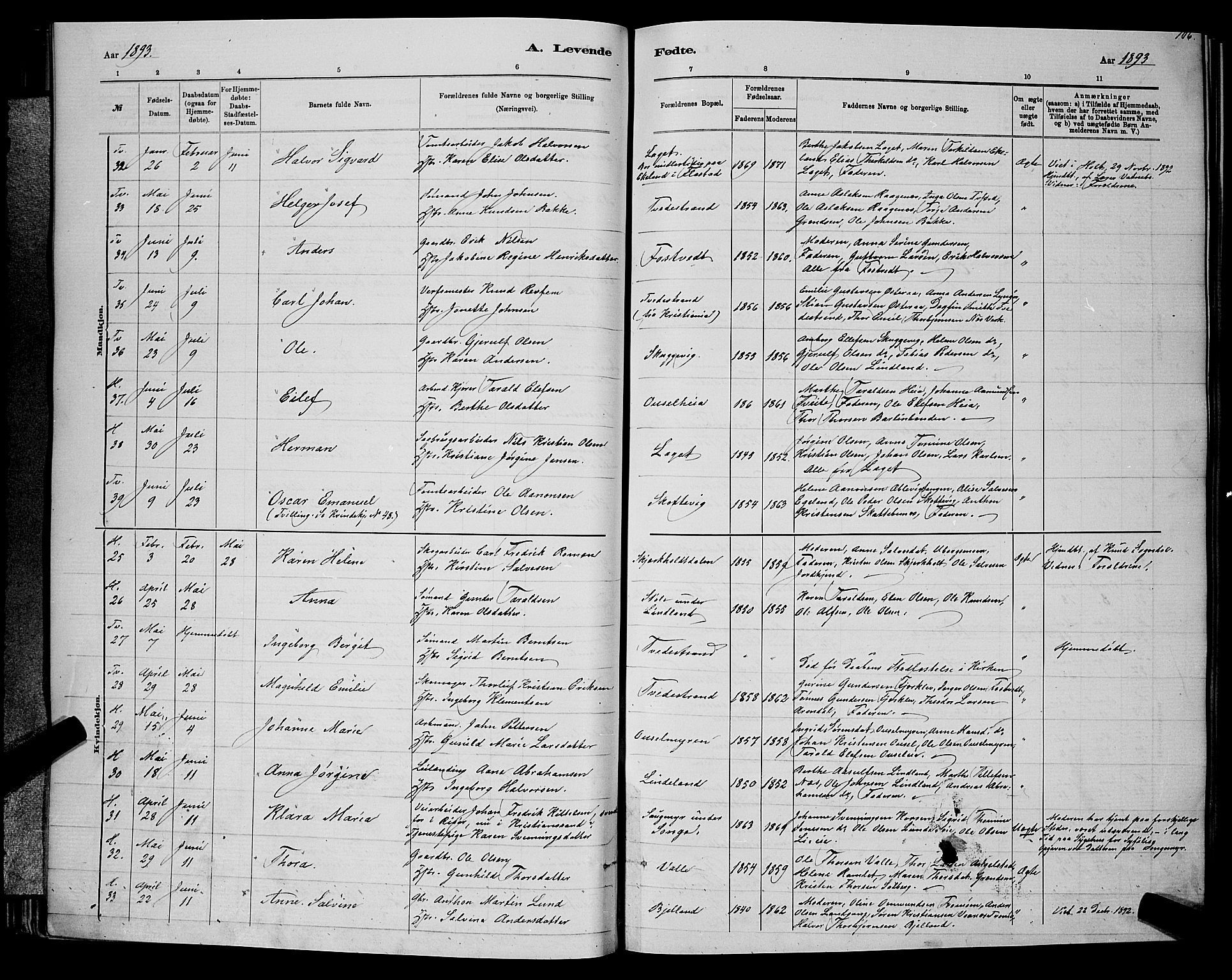 Holt sokneprestkontor, AV/SAK-1111-0021/F/Fb/L0010: Parish register (copy) no. B 10, 1883-1896, p. 106