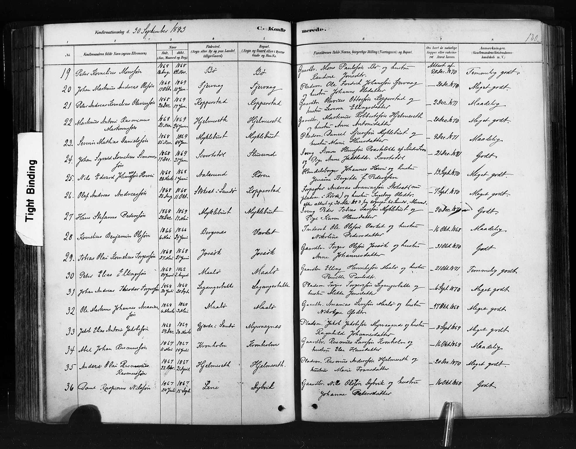 Ministerialprotokoller, klokkerbøker og fødselsregistre - Møre og Romsdal, AV/SAT-A-1454/507/L0073: Parish register (official) no. 507A08, 1878-1904, p. 180