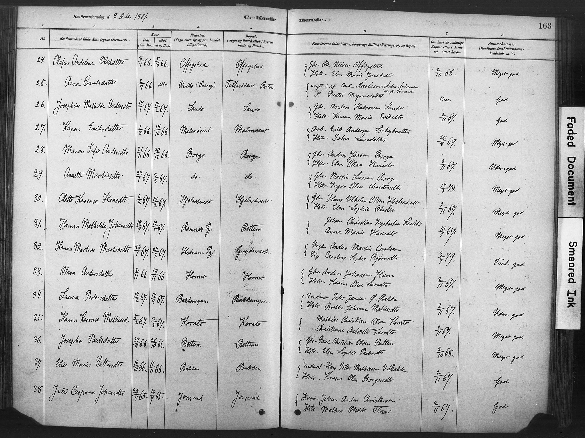 Våle kirkebøker, AV/SAKO-A-334/F/Fa/L0011: Parish register (official) no. I 11, 1878-1906, p. 163