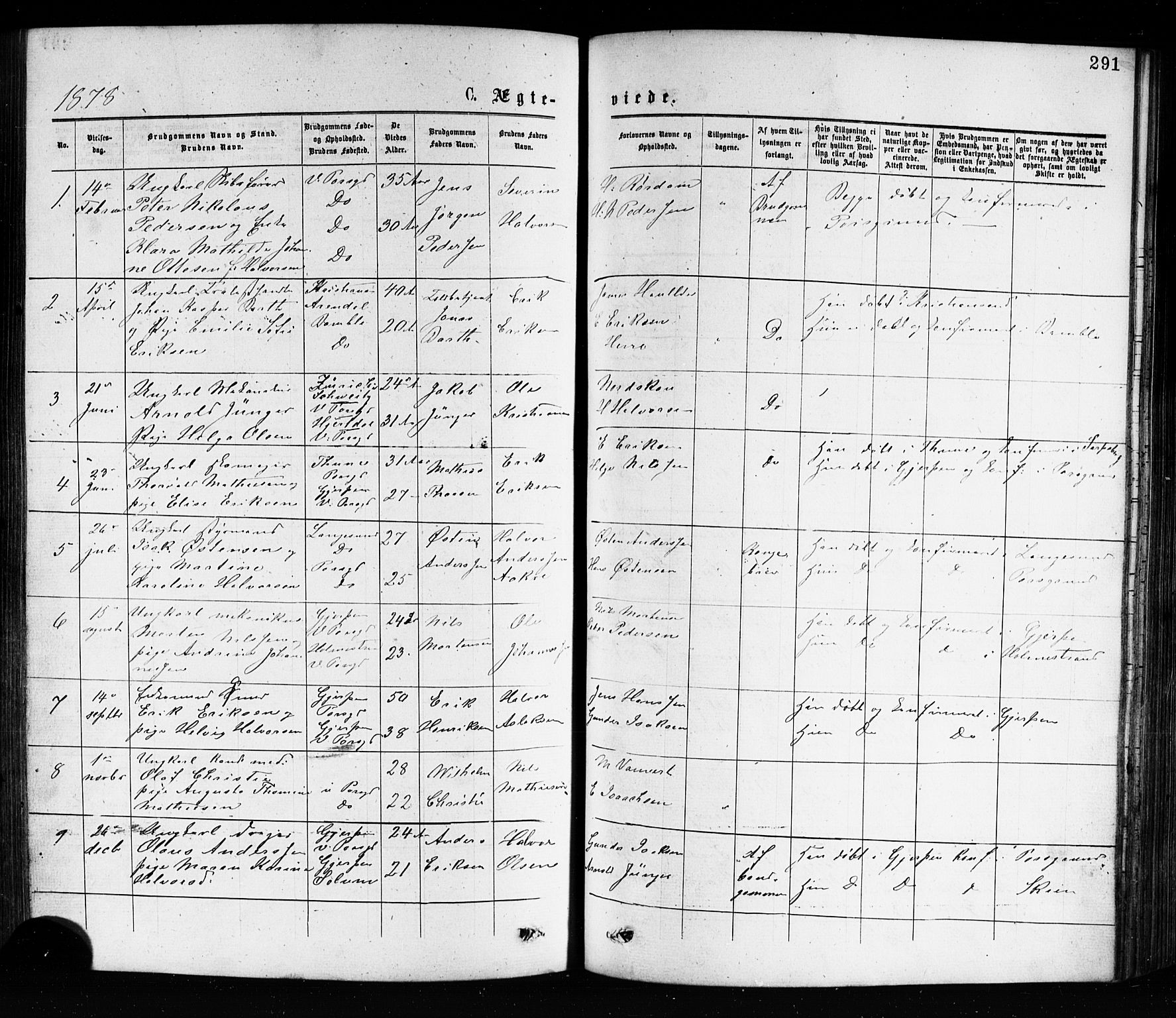 Porsgrunn kirkebøker , SAKO/A-104/G/Ga/L0003: Parish register (copy) no. I 3, 1877-1915, p. 291