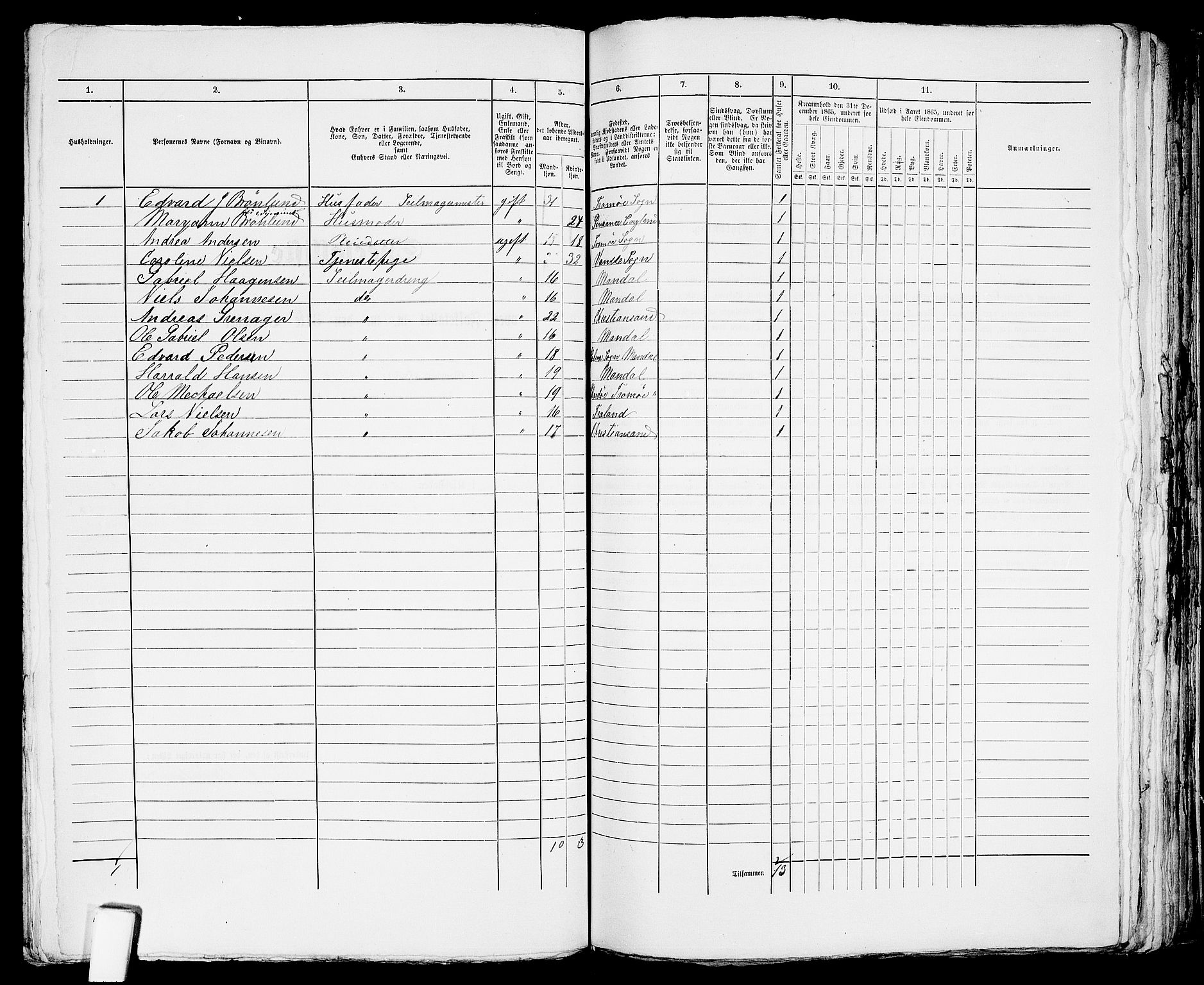 RA, 1865 census for Arendal, 1865, p. 542