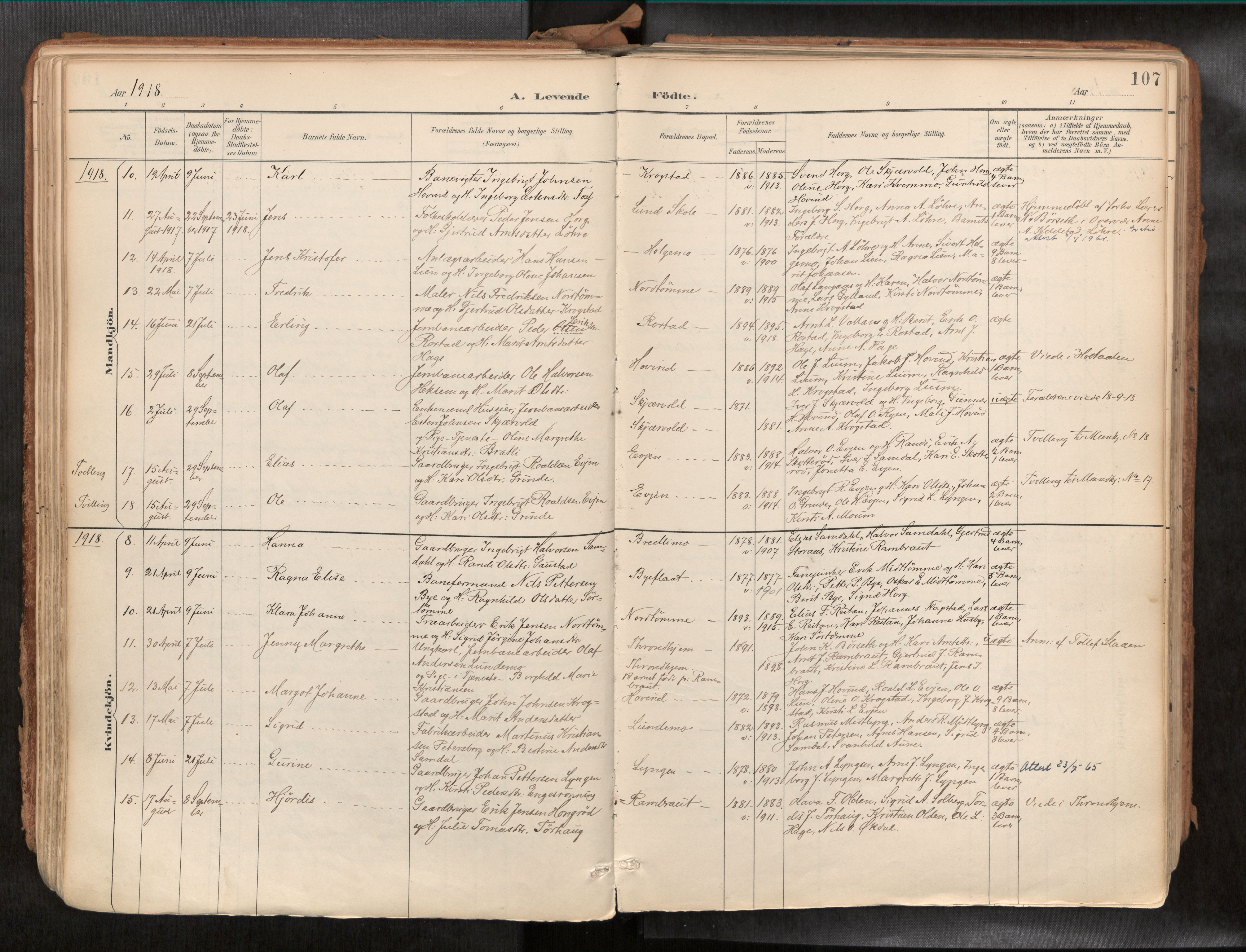 Ministerialprotokoller, klokkerbøker og fødselsregistre - Sør-Trøndelag, SAT/A-1456/692/L1105b: Parish register (official) no. 692A06, 1891-1934, p. 107