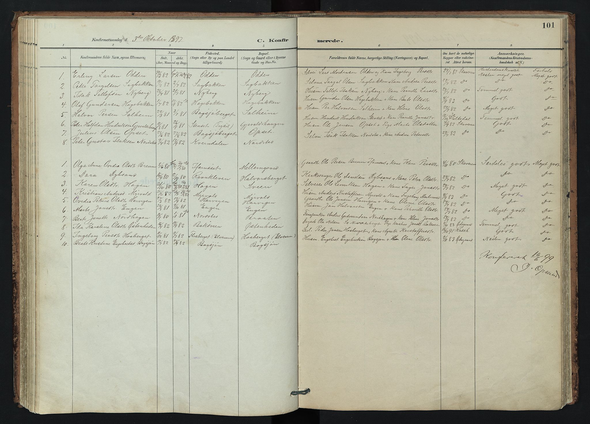 Trysil prestekontor, AV/SAH-PREST-046/H/Ha/Hab/L0007: Parish register (copy) no. 7, 1896-1948, p. 101