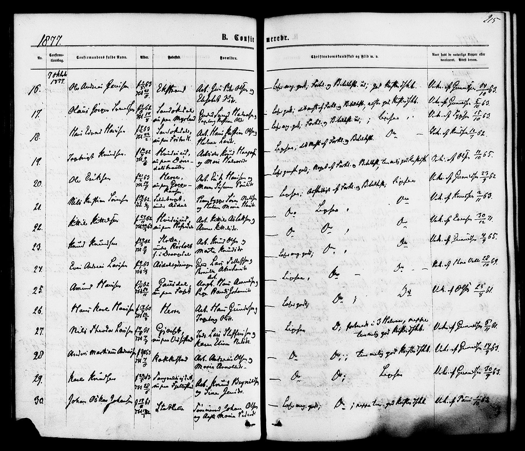 Bamble kirkebøker, AV/SAKO-A-253/F/Fa/L0006: Parish register (official) no. I 6, 1869-1877, p. 215