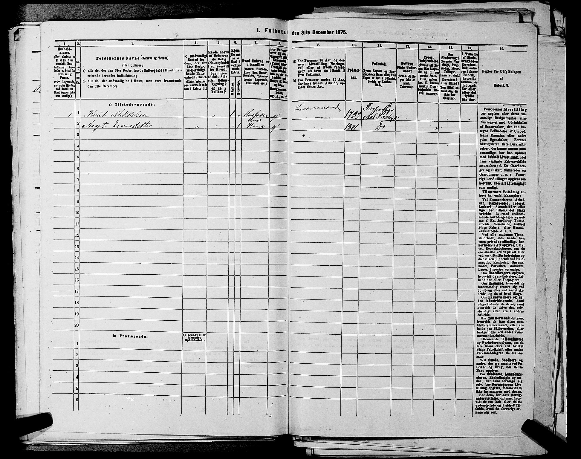 SAKO, 1875 census for 0619P Ål, 1875, p. 313