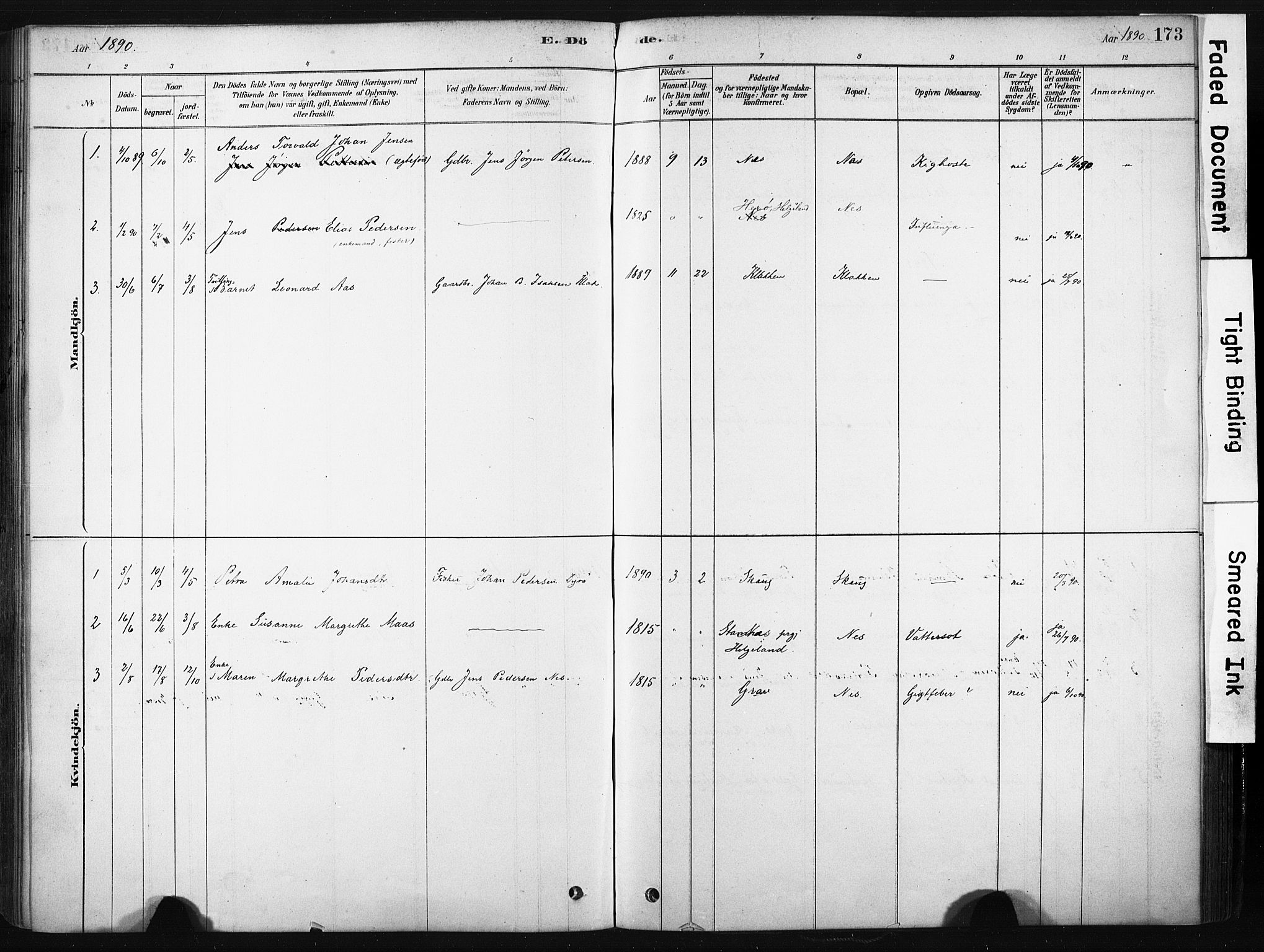 Ministerialprotokoller, klokkerbøker og fødselsregistre - Nordland, AV/SAT-A-1459/808/L0128: Parish register (official) no. 808A01, 1880-1902, p. 173