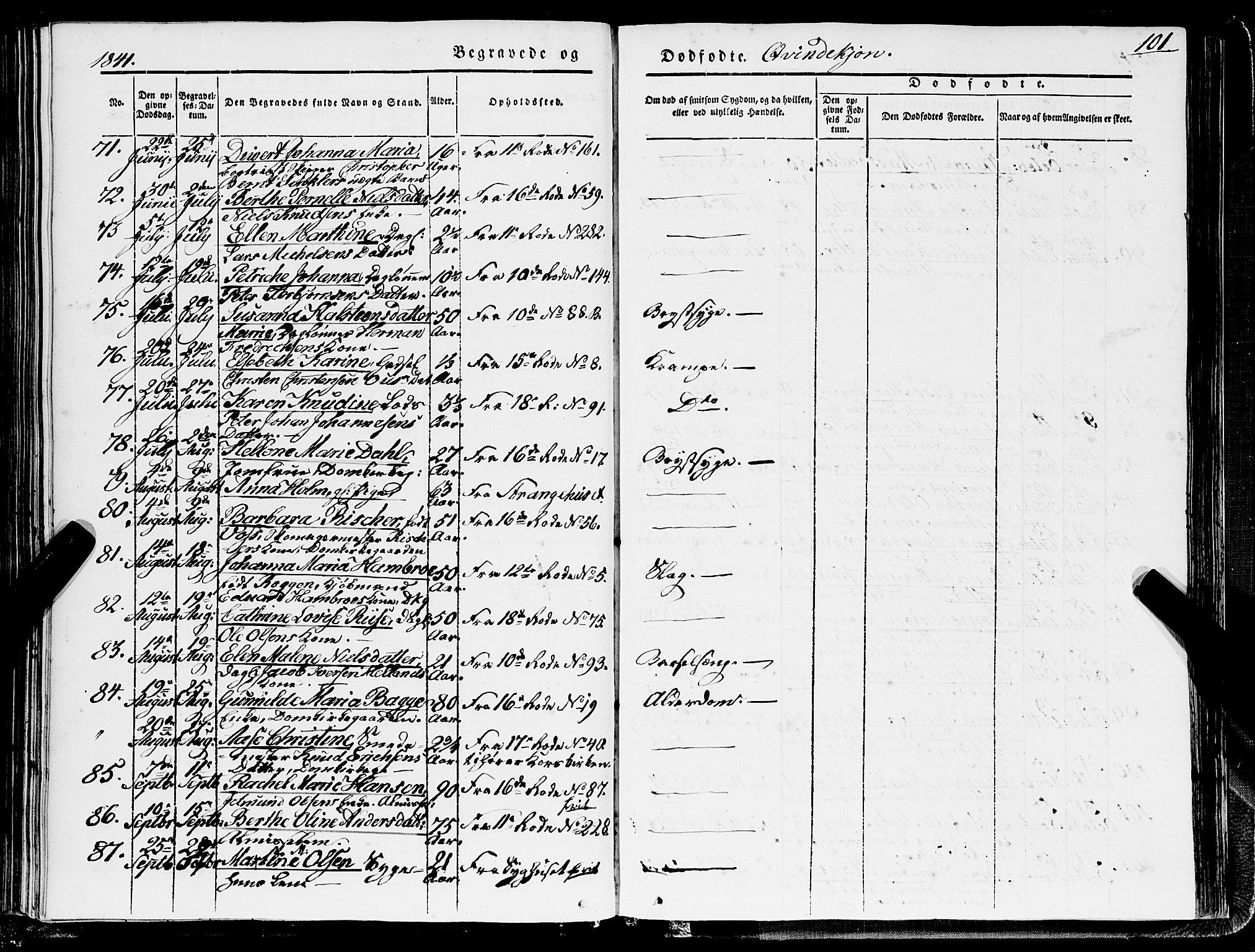 Domkirken sokneprestembete, AV/SAB-A-74801/H/Haa/L0040: Parish register (official) no. E 1, 1841-1853, p. 101