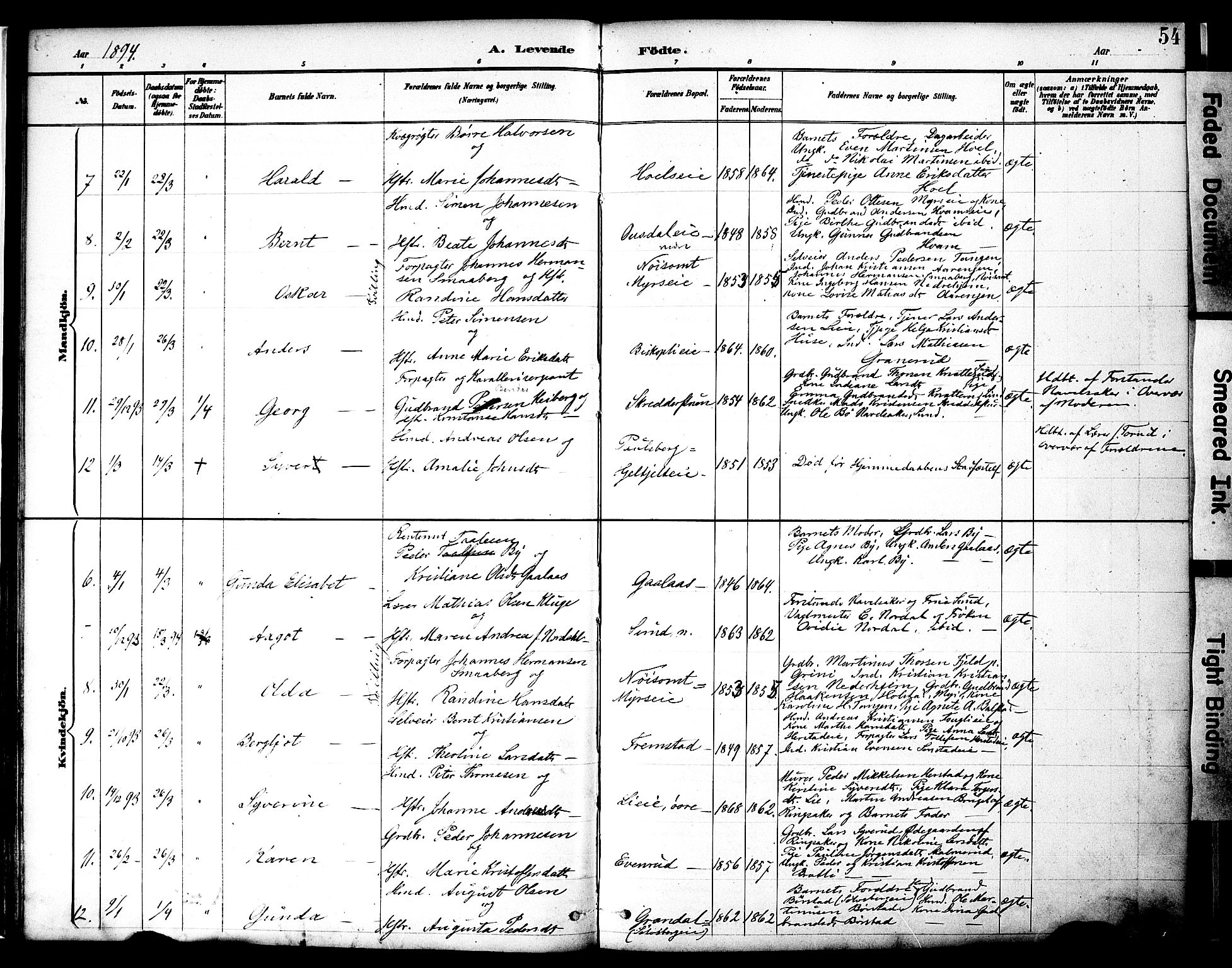 Nes prestekontor, Hedmark, SAH/PREST-020/K/Ka/L0009: Parish register (official) no. 9, 1887-1905, p. 54