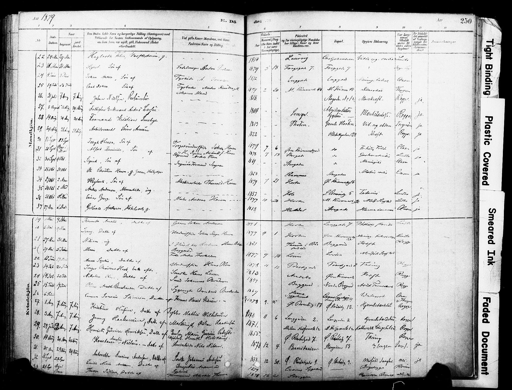 Horten kirkebøker, AV/SAKO-A-348/F/Fa/L0003: Parish register (official) no. 3, 1878-1887, p. 250