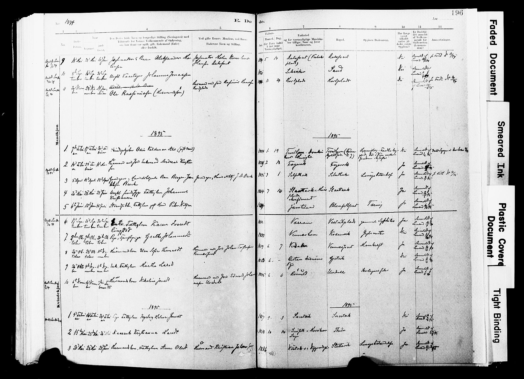 Ministerialprotokoller, klokkerbøker og fødselsregistre - Nord-Trøndelag, AV/SAT-A-1458/744/L0420: Parish register (official) no. 744A04, 1882-1904, p. 196